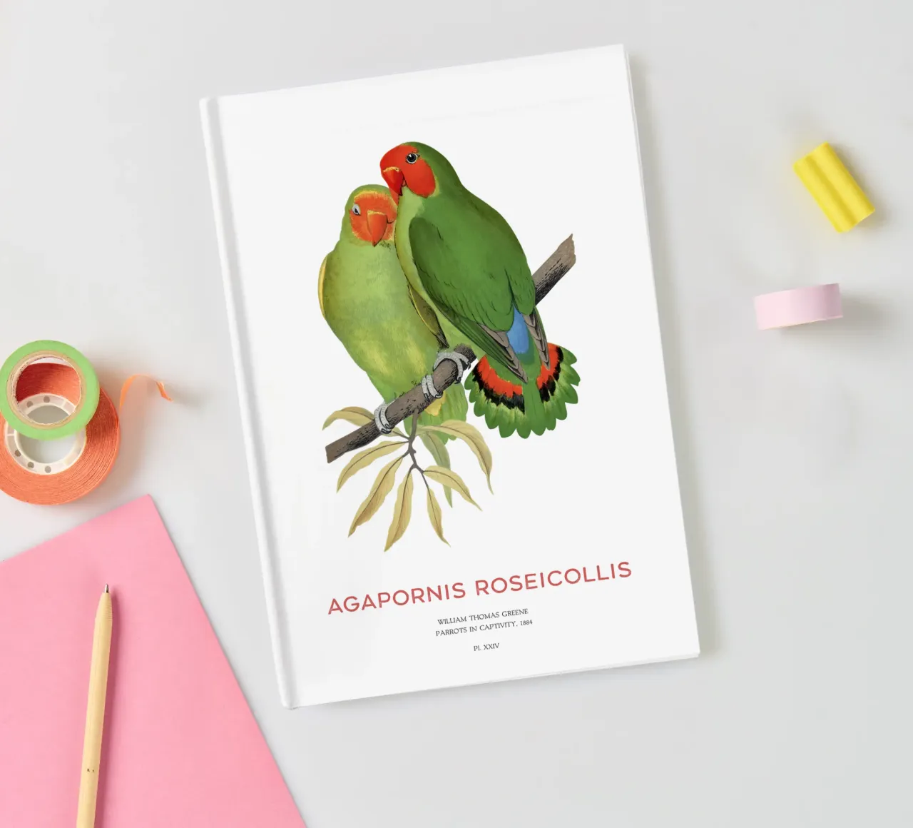 Rosy-faced lovebird or Agapornis roseicollis notebook by Vintagrafica