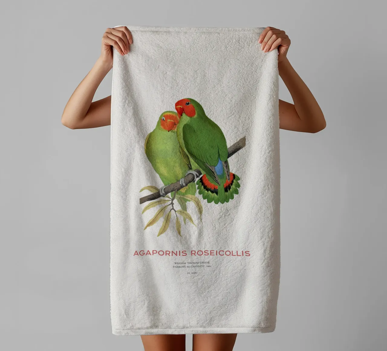 Rosenköpfiger Unzertrennlicher oder Agapornis roseicollis Handtuch von Vintagrafica