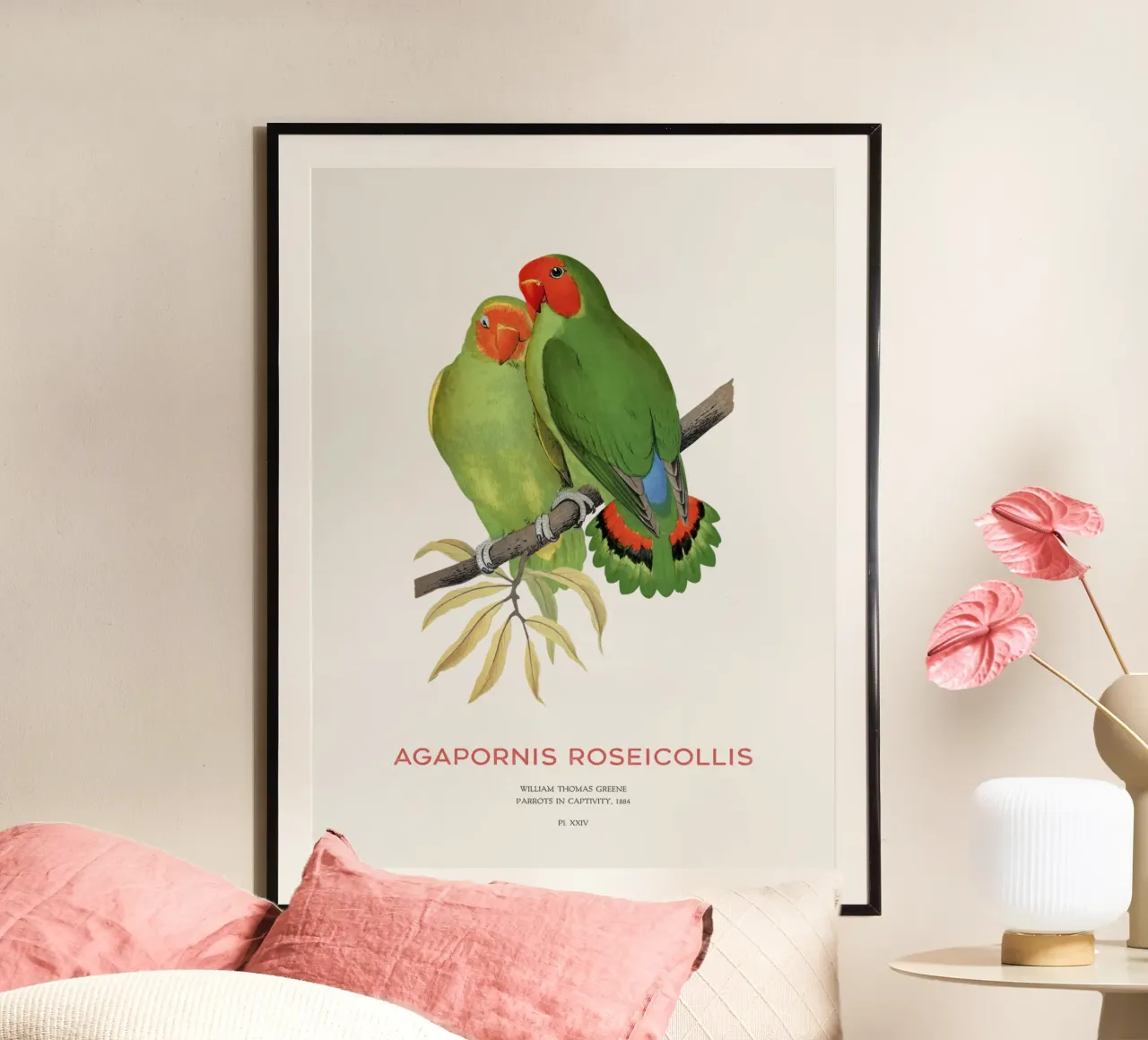 Rosenköpfiger Unzertrennlicher oder Agapornis roseicollis Hahnemühle von Vintagrafica