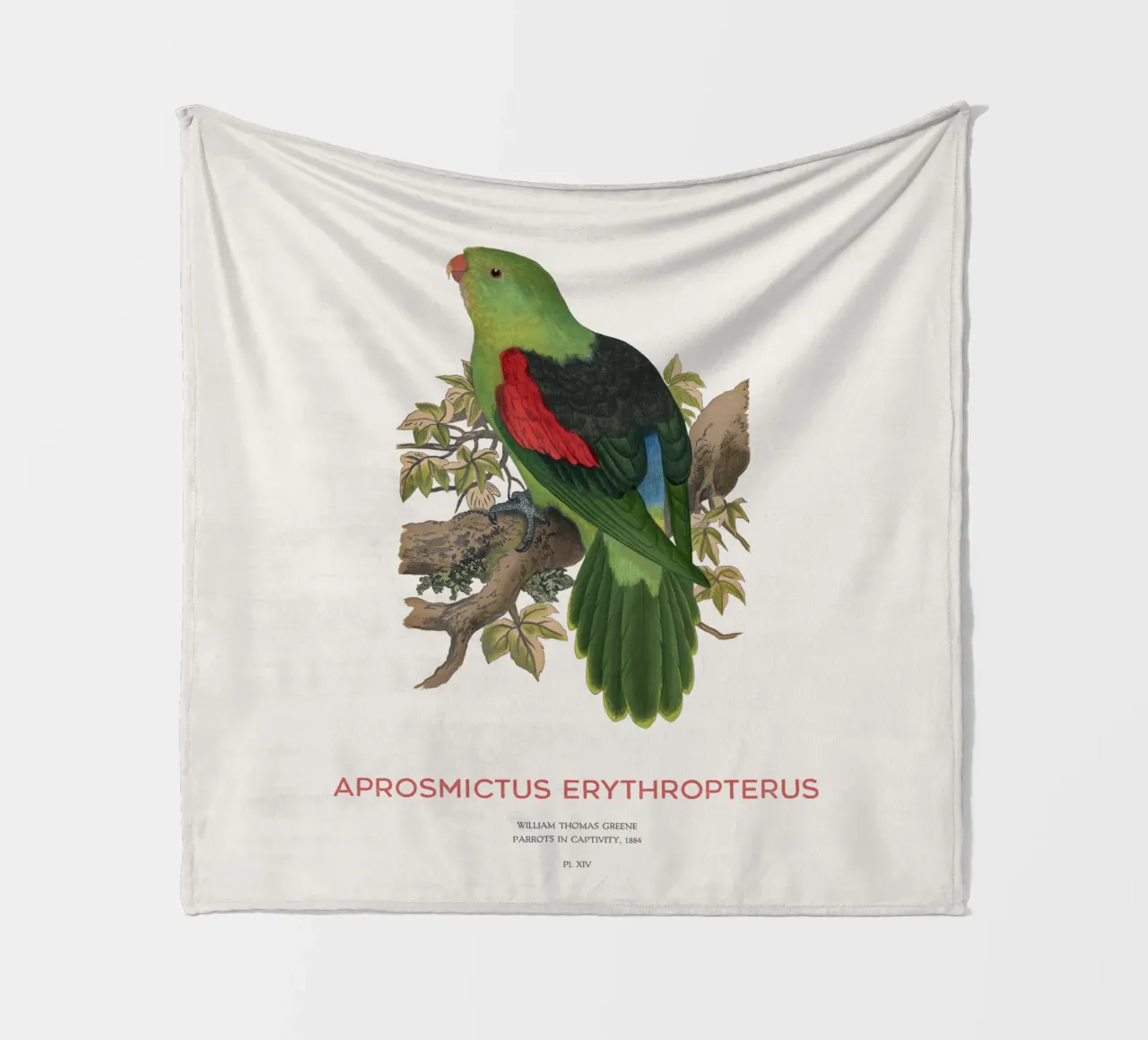 Rotflügelsittich oder Aprosmictus erythropterus Fleecedecke von Vintagrafica