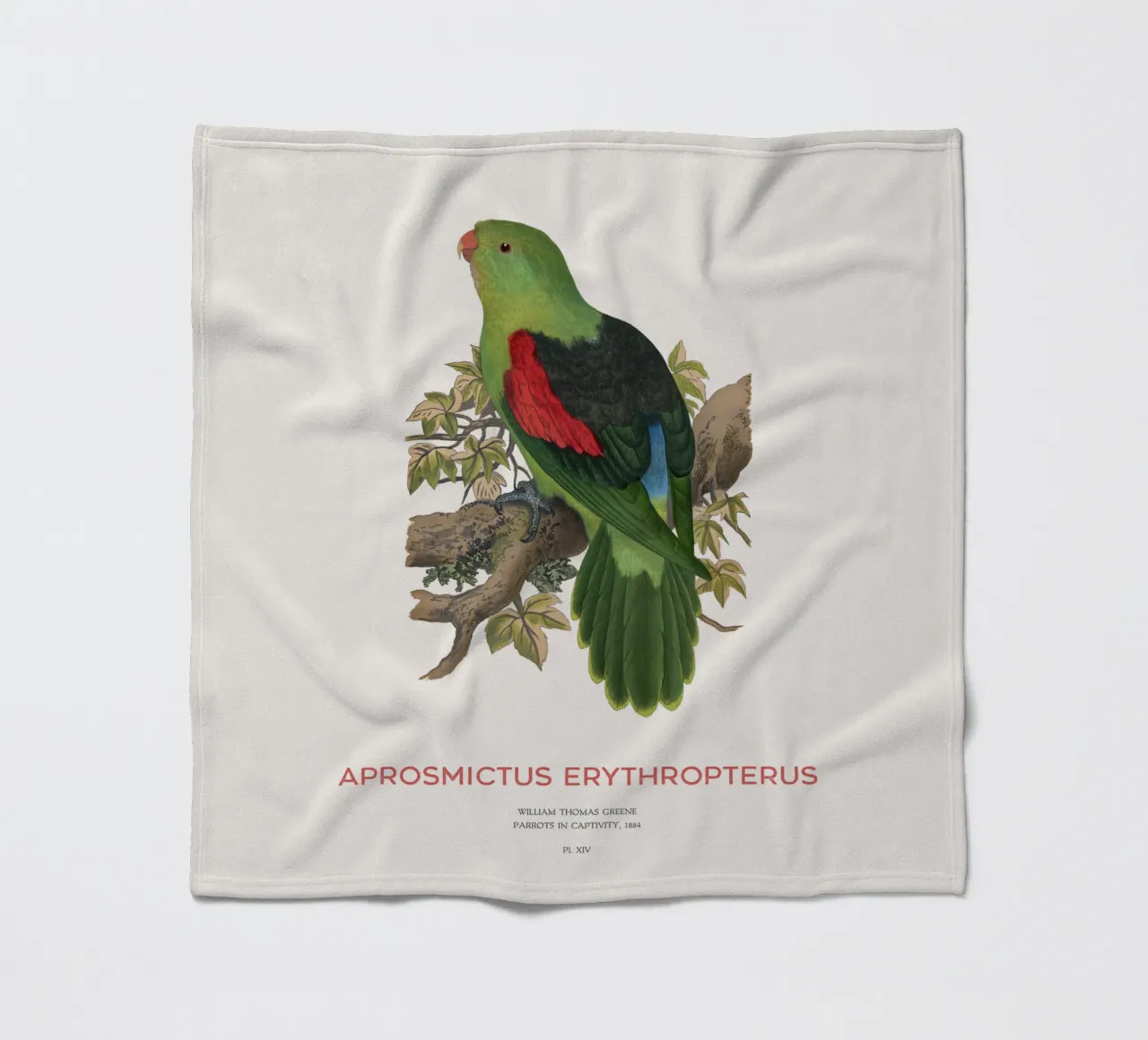 Rotflügelsittich oder Aprosmictus erythropterus Fleecedecke von Vintagrafica