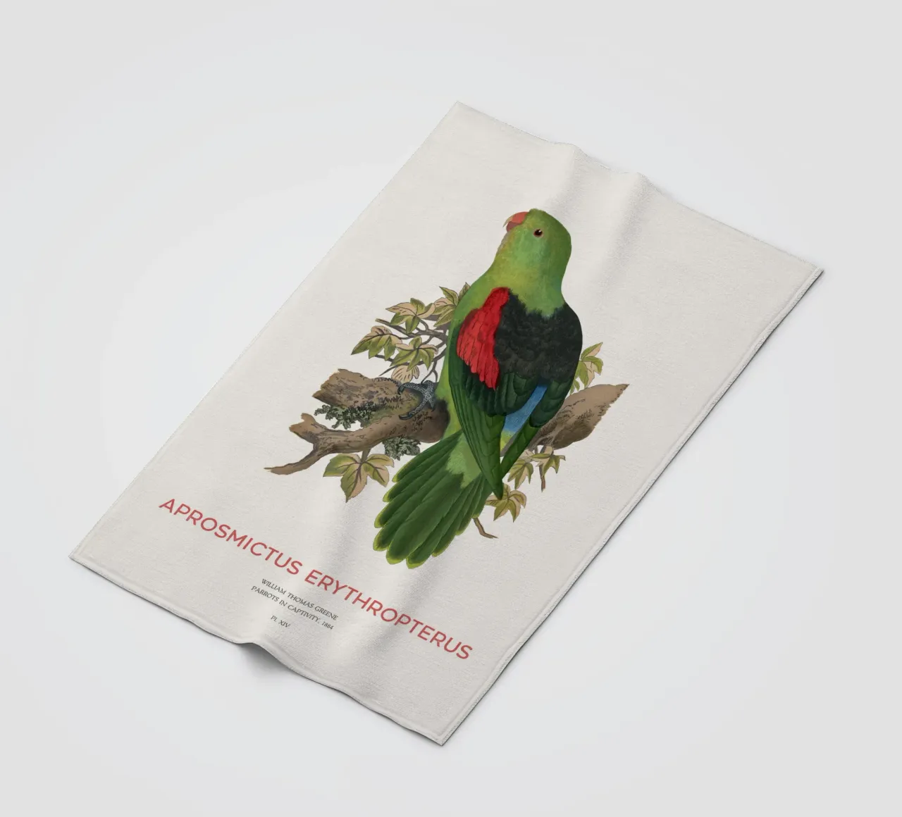 Rotflügelsittich oder Aprosmictus erythropterus Fleecedecke von Vintagrafica