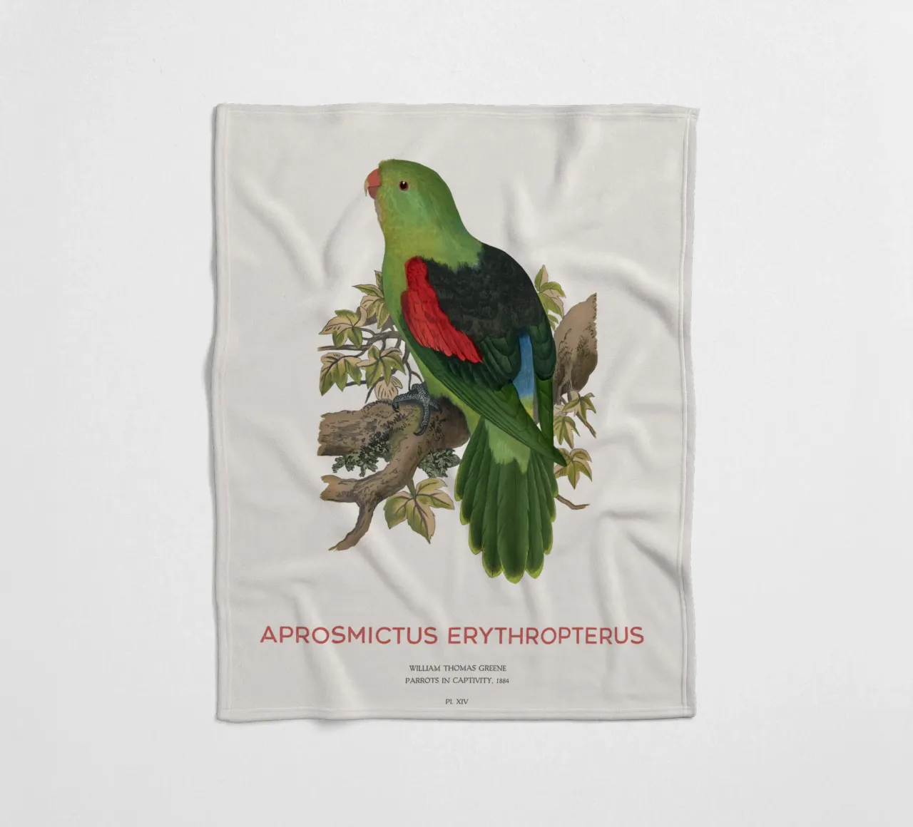Rotflügelsittich oder Aprosmictus erythropterus Fleecedecke von Vintagrafica