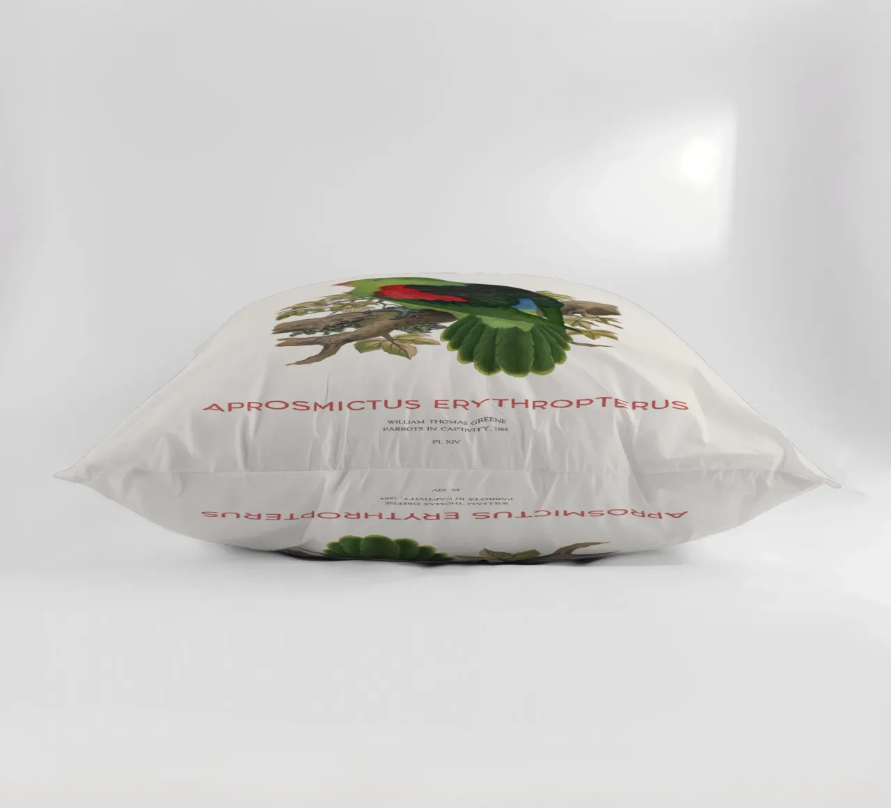 Red-winged parrot or Aprosmictus erythropterus decorative cushion by Vintagrafica