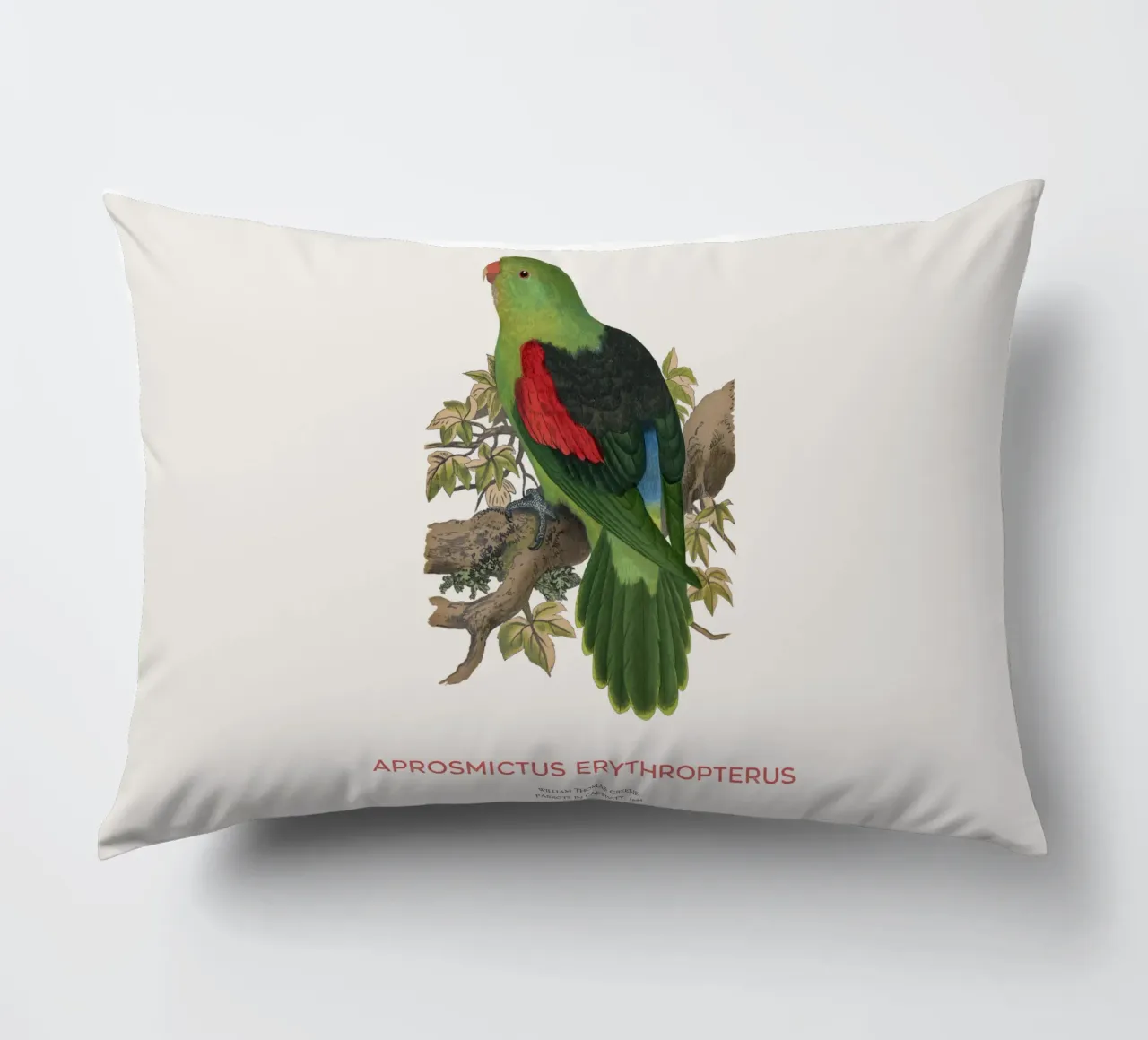 Red-winged parrot or Aprosmictus erythropterus decorative cushion by Vintagrafica