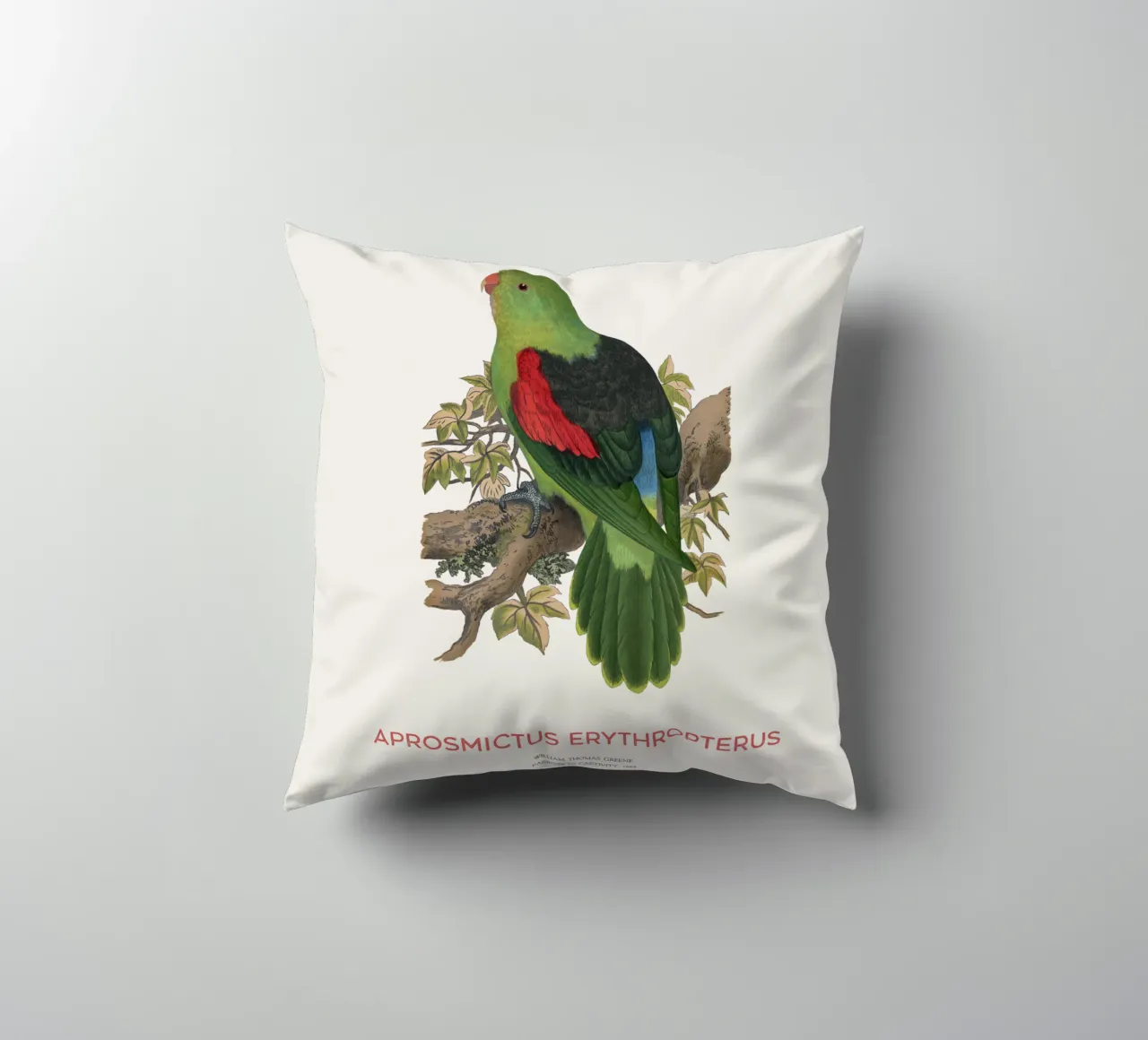 Red-winged parrot or Aprosmictus erythropterus decorative cushion by Vintagrafica