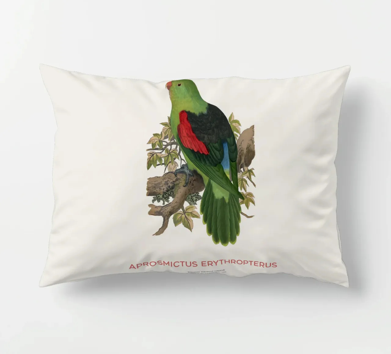Red-winged parrot or Aprosmictus erythropterus decorative cushion by Vintagrafica