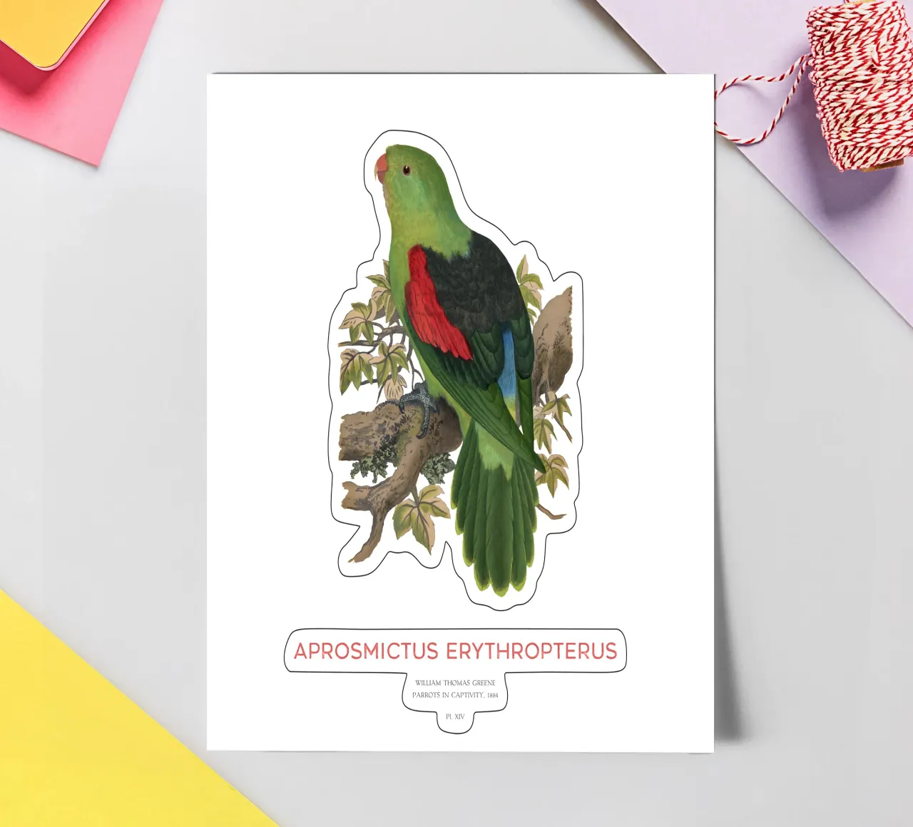 Rotflügelsittich oder Aprosmictus erythropterus Stickerbogen von Vintagrafica