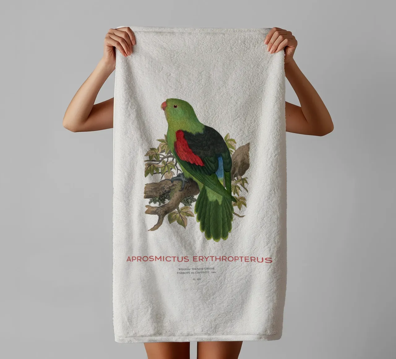 Rotflügelsittich oder Aprosmictus erythropterus Handtuch von Vintagrafica