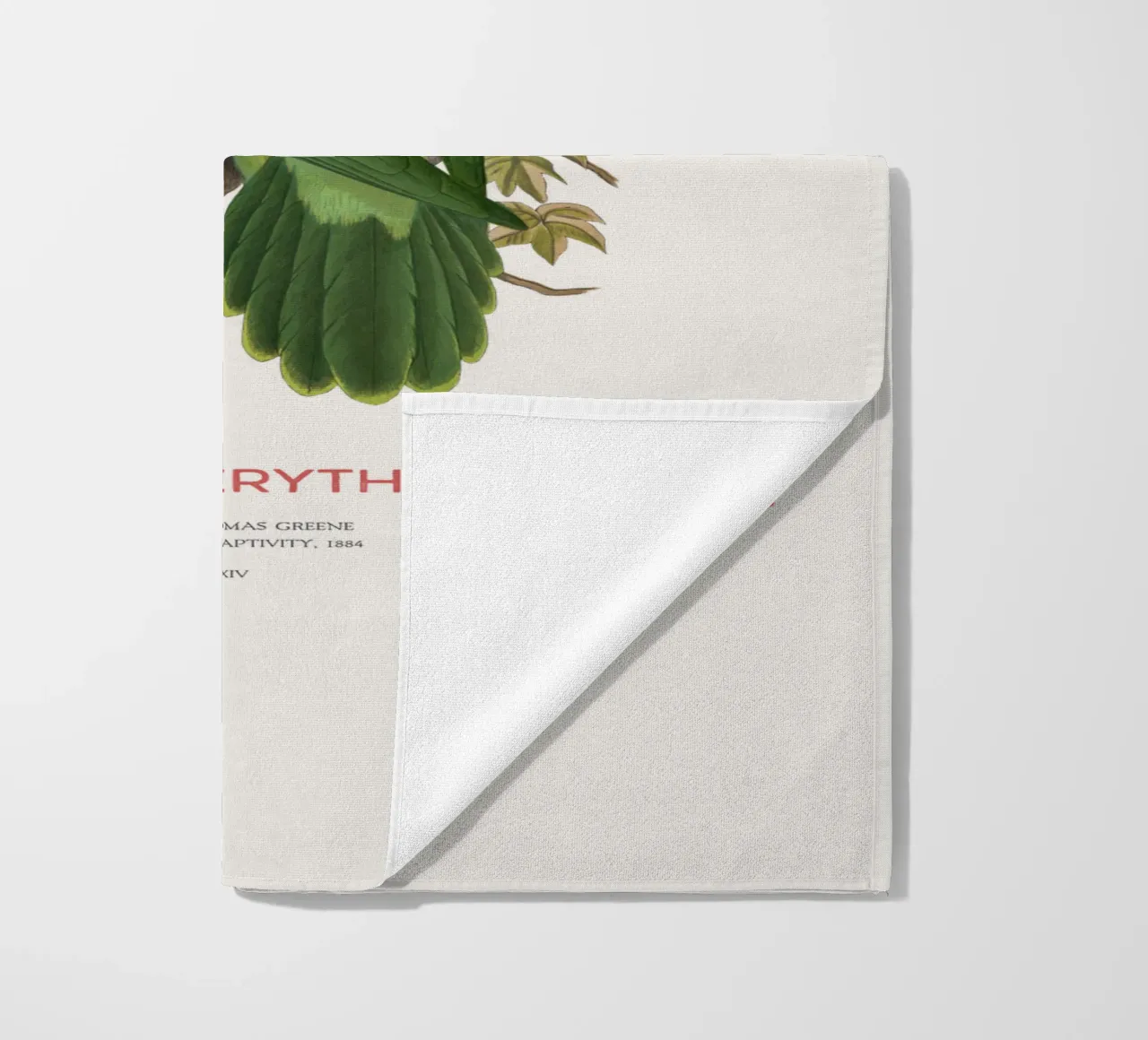Rotflügelsittich oder Aprosmictus erythropterus Strandtuch von Vintagrafica