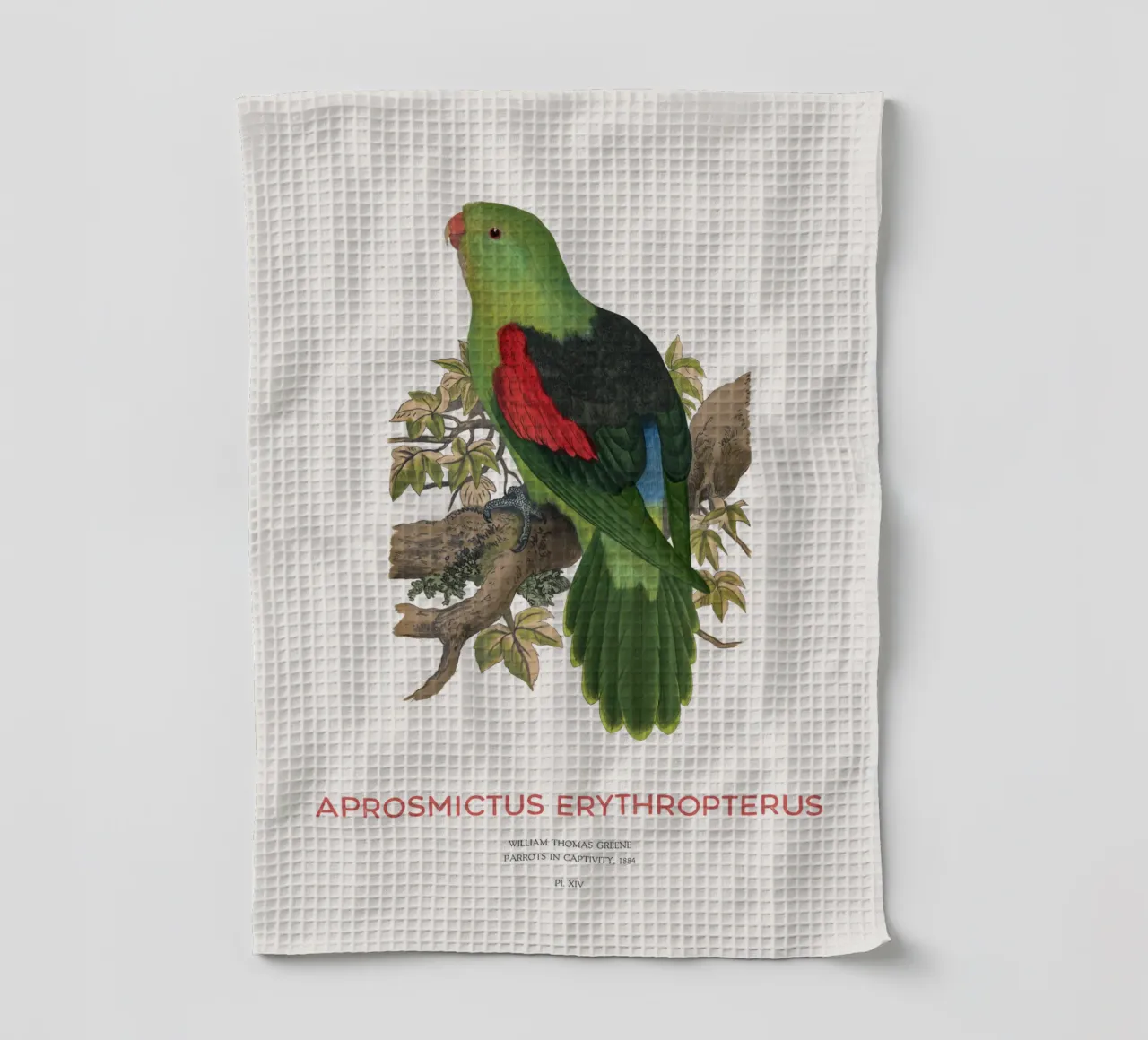 Rotflügelsittich oder Aprosmictus erythropterus Geschirrtuch von Vintagrafica