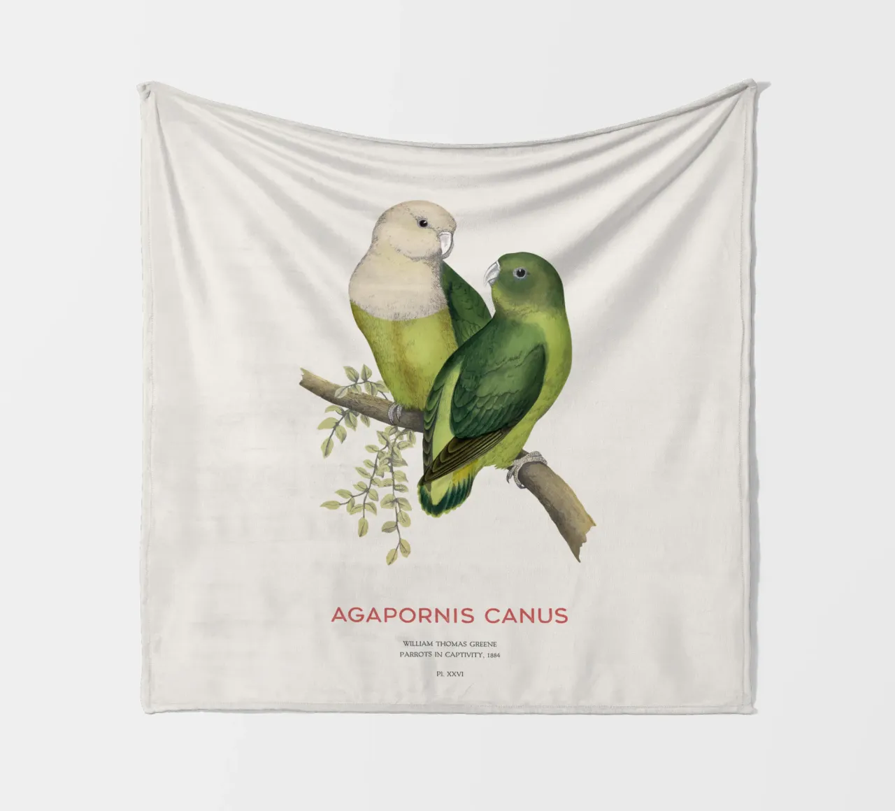 Inseparabile del Madagascar o Agapornis canus coperta in pile da Vintagrafica