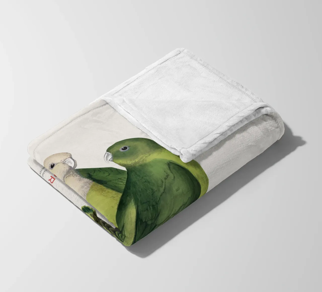 Inseparabile del Madagascar o Agapornis canus coperta in pile da Vintagrafica