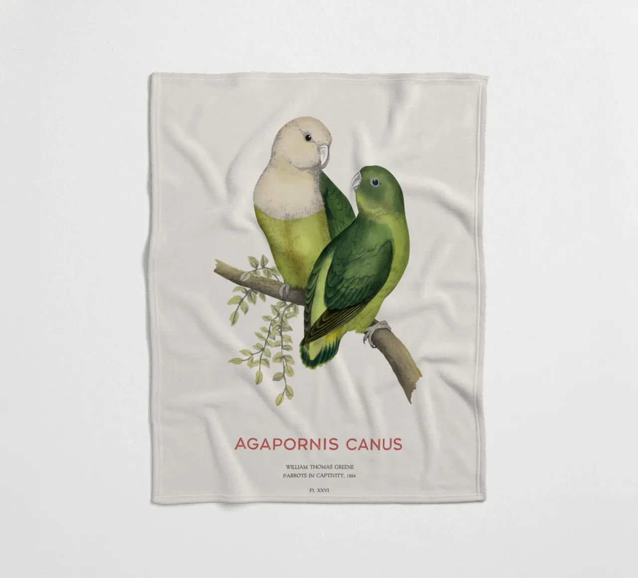 Inseparabile del Madagascar o Agapornis canus coperta in pile da Vintagrafica