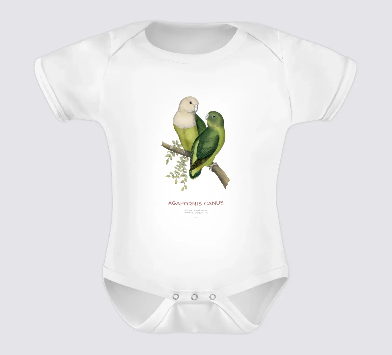 Madagaskar-Liebesvogel oder Agapornis canus Kurzarm Babybody von Vintagrafica