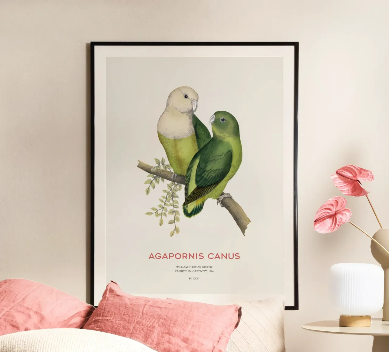 Madagaskar-Liebesvogel oder Agapornis canus Hahnemühle von Vintagrafica