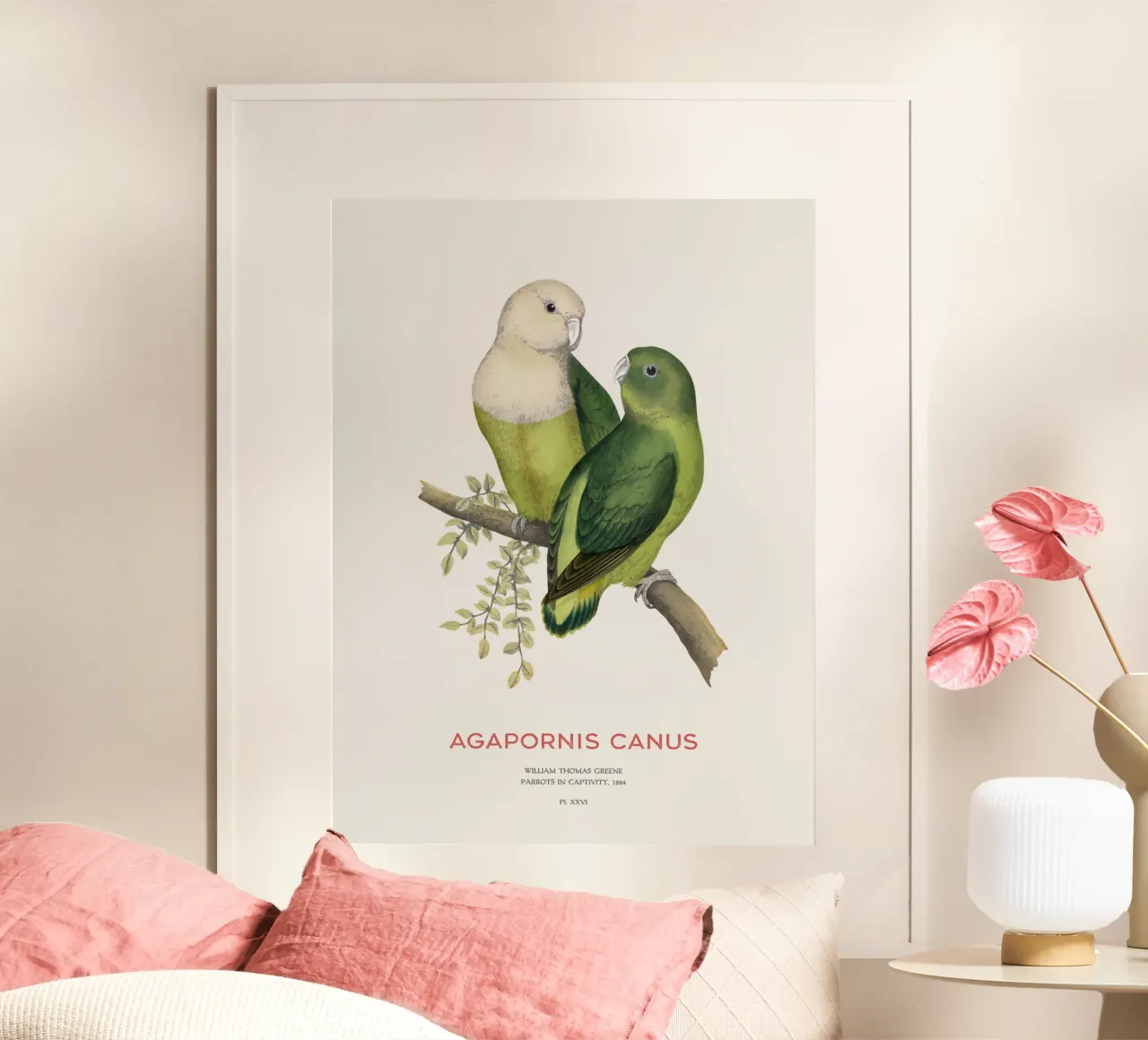 Madagaskar-Liebesvogel oder Agapornis canus Hahnemühle von Vintagrafica