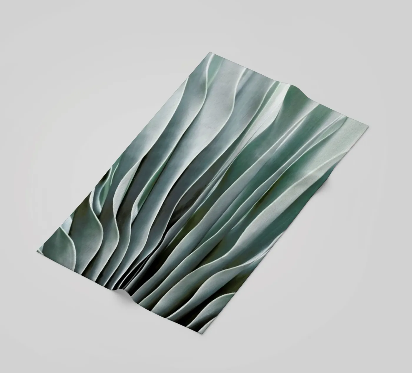 Boophane telo mare da Shot By Clint