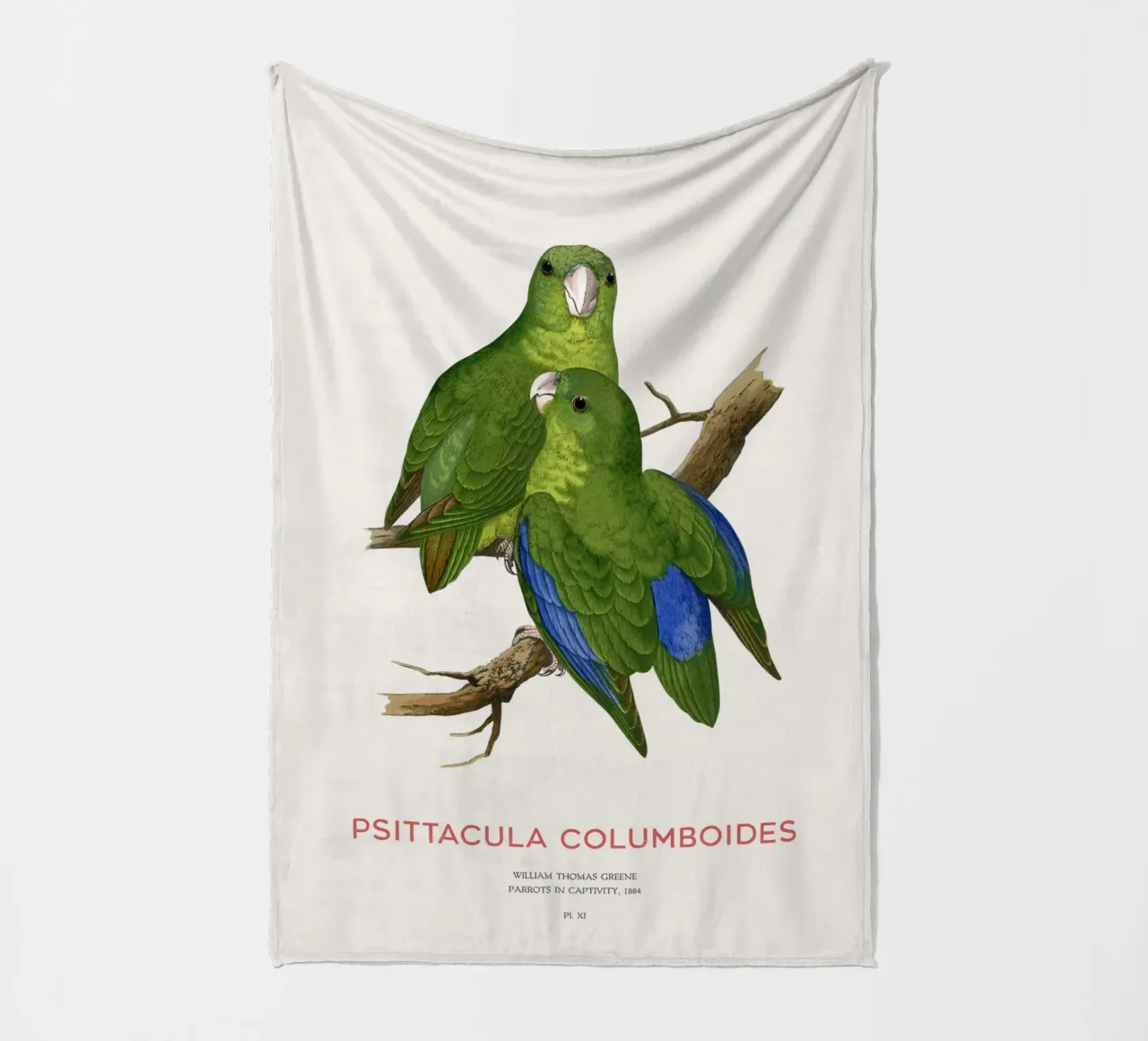 Malabarsittich oder Psittacula columboides Fleecedecke von Vintagrafica