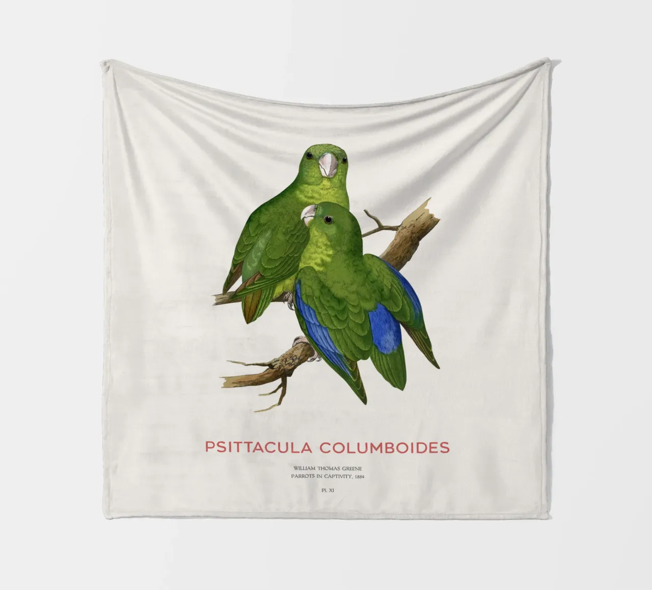 Malabarsittich oder Psittacula columboides Fleecedecke von Vintagrafica