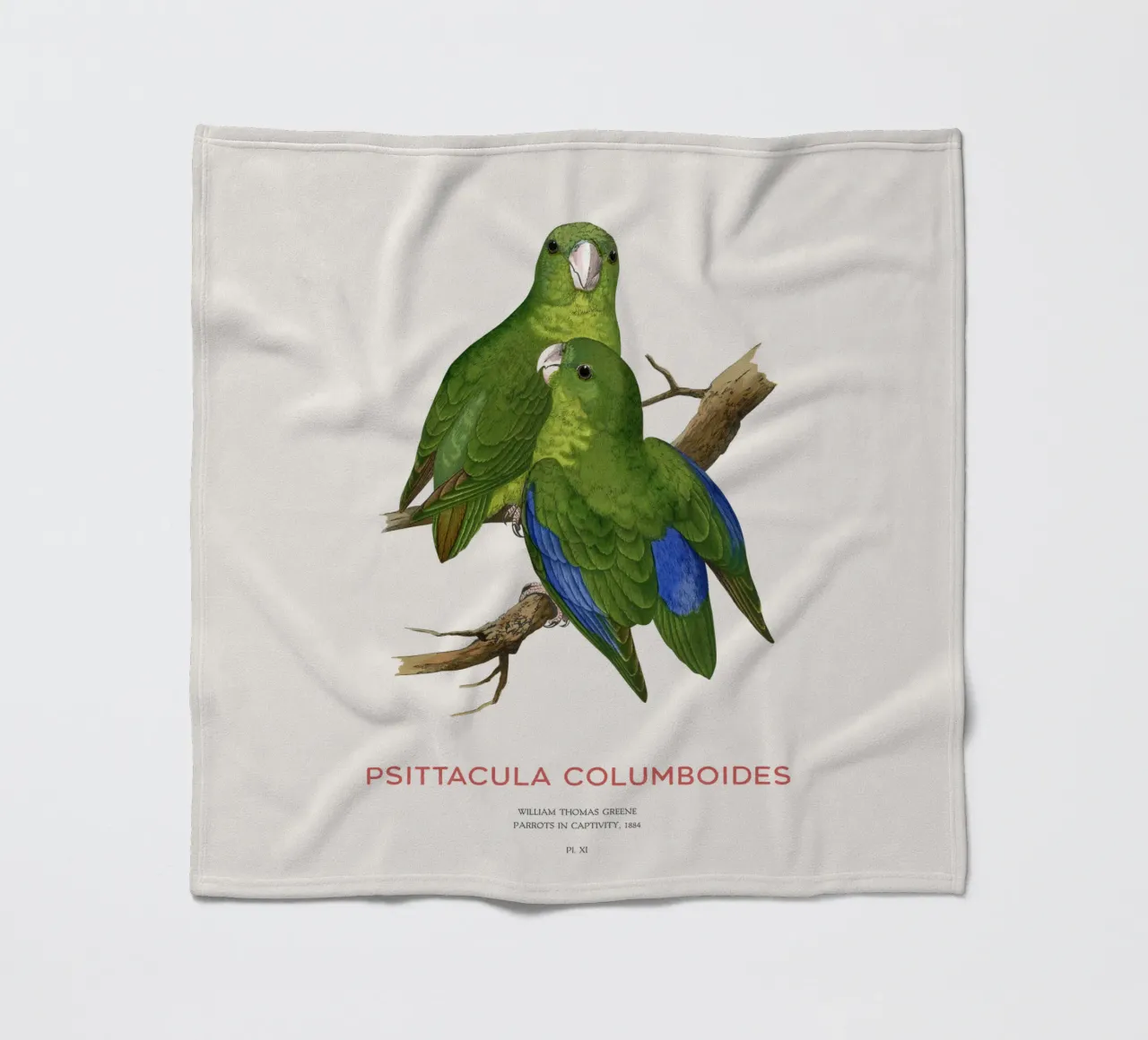 Malabarsittich oder Psittacula columboides Fleecedecke von Vintagrafica