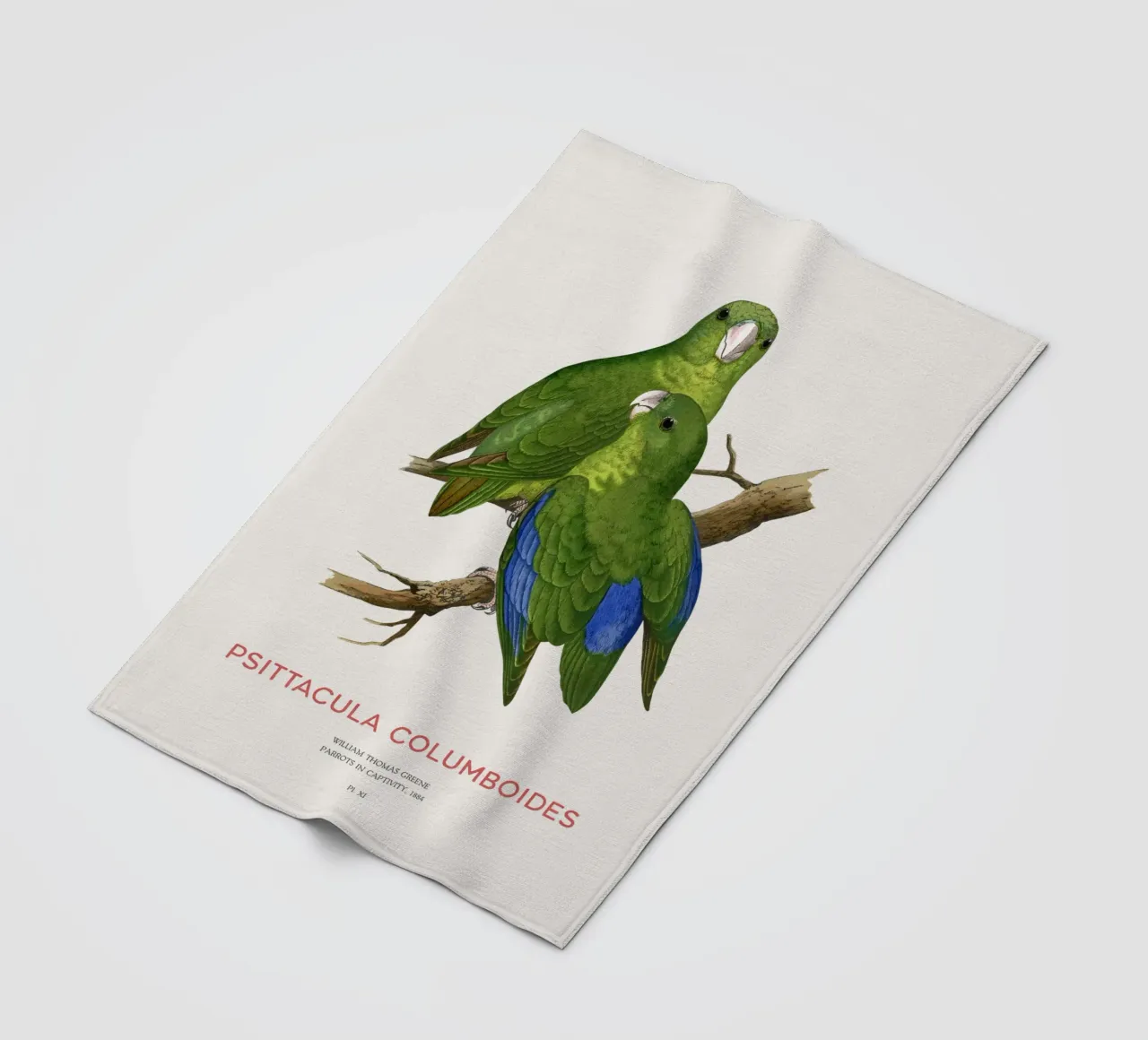 Malabarsittich oder Psittacula columboides Fleecedecke von Vintagrafica