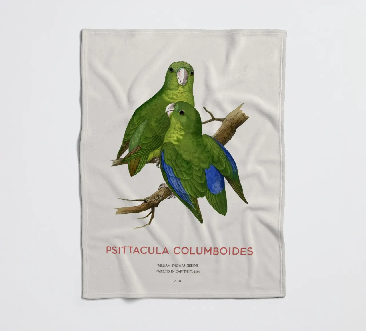 Malabarsittich oder Psittacula columboides Fleecedecke von Vintagrafica