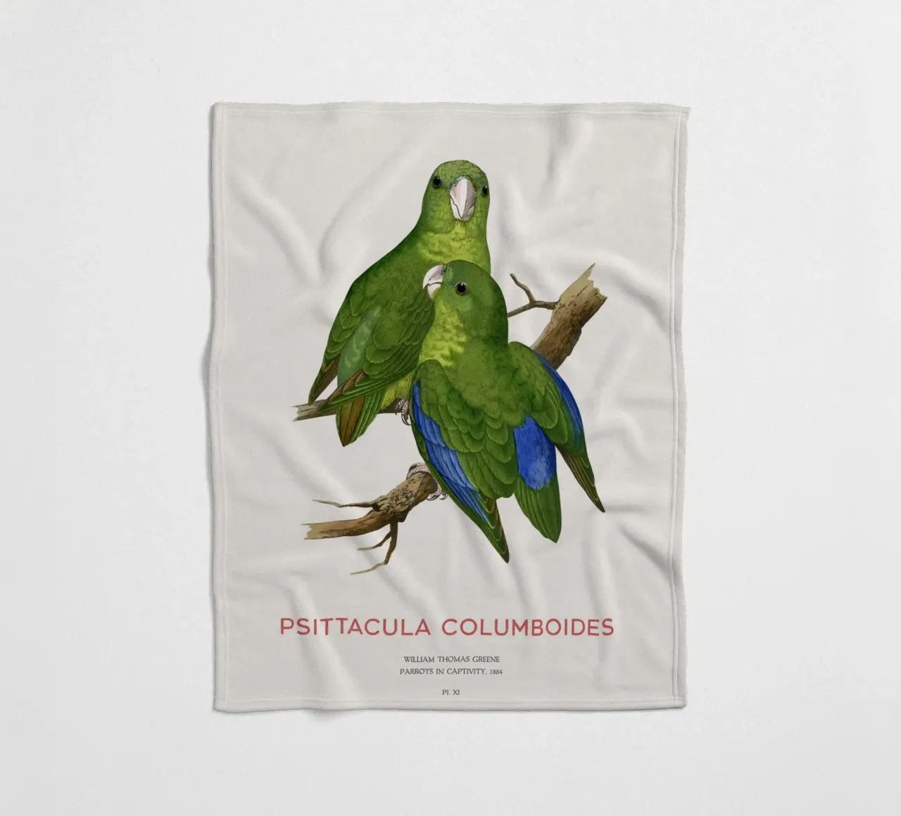 Malabarsittich oder Psittacula columboides Fleecedecke von Vintagrafica