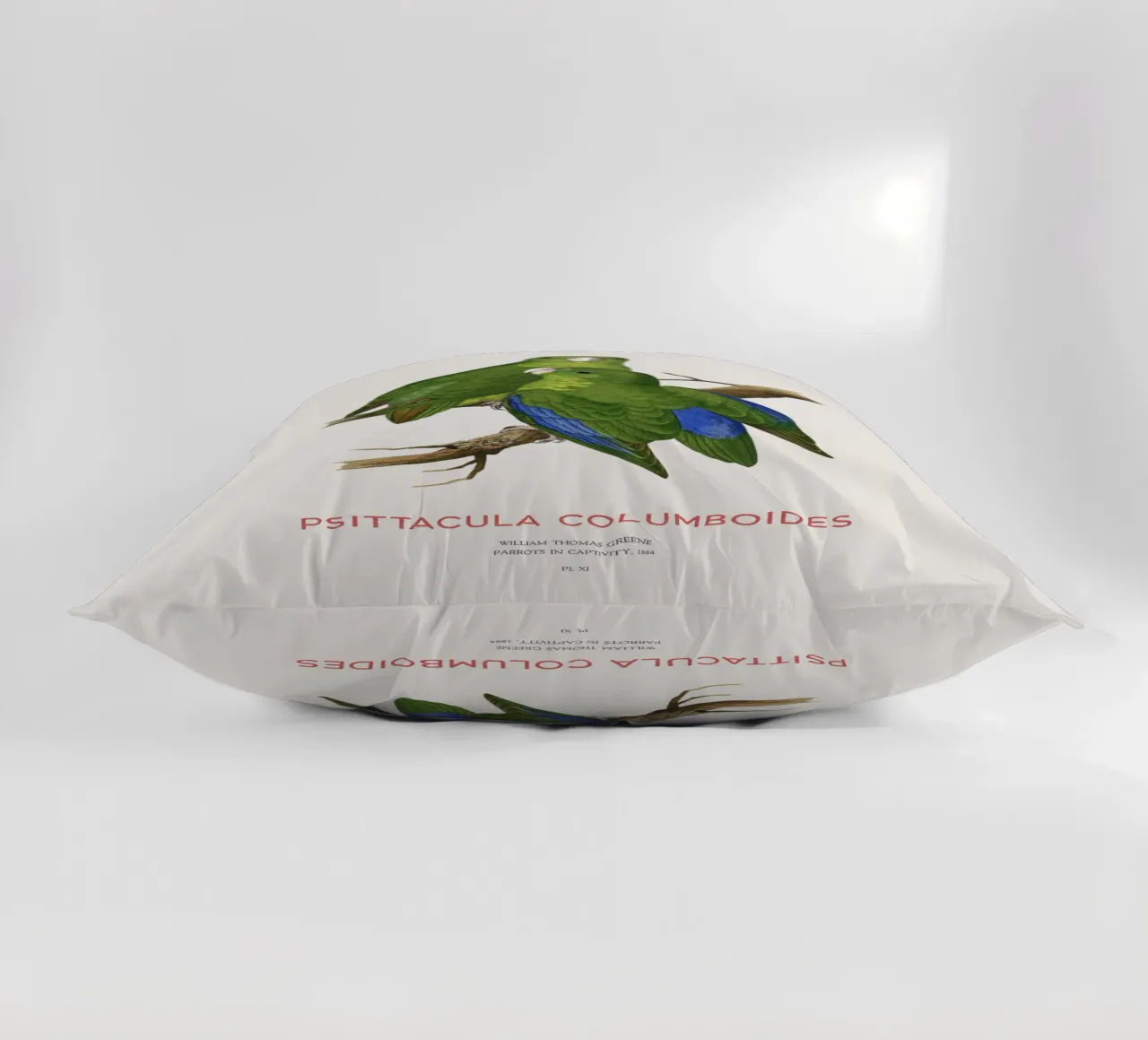 Parrocchetto di Malabar o Psittacula columboides cuscino da Vintagrafica