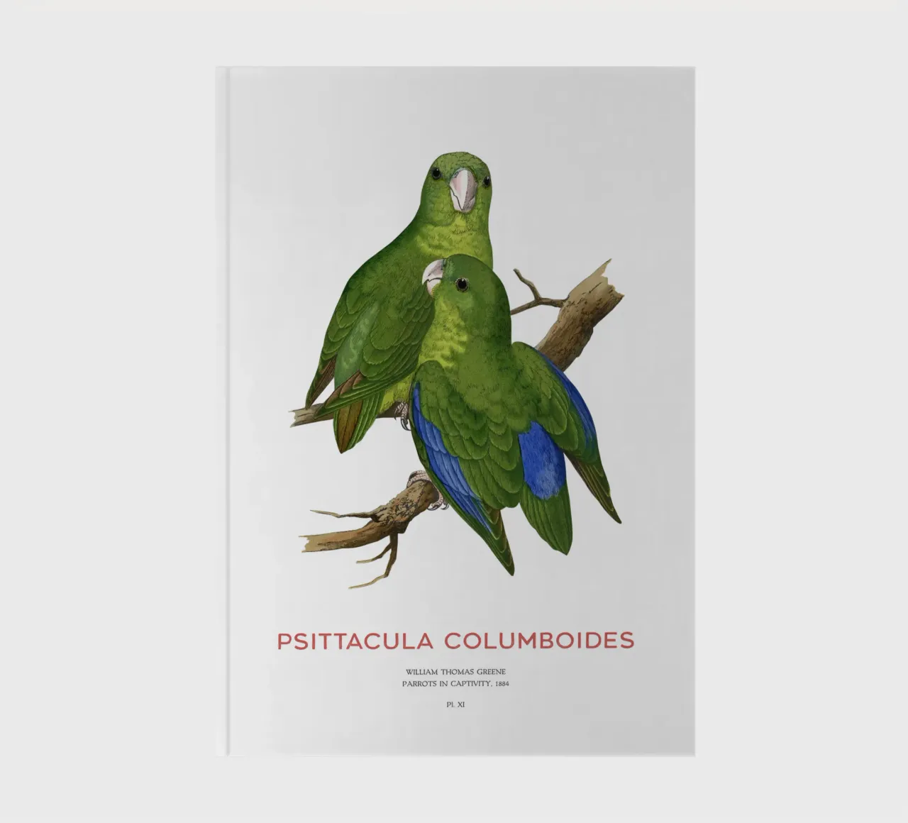 Malabarsittich oder Psittacula columboides Notizbuch von Vintagrafica