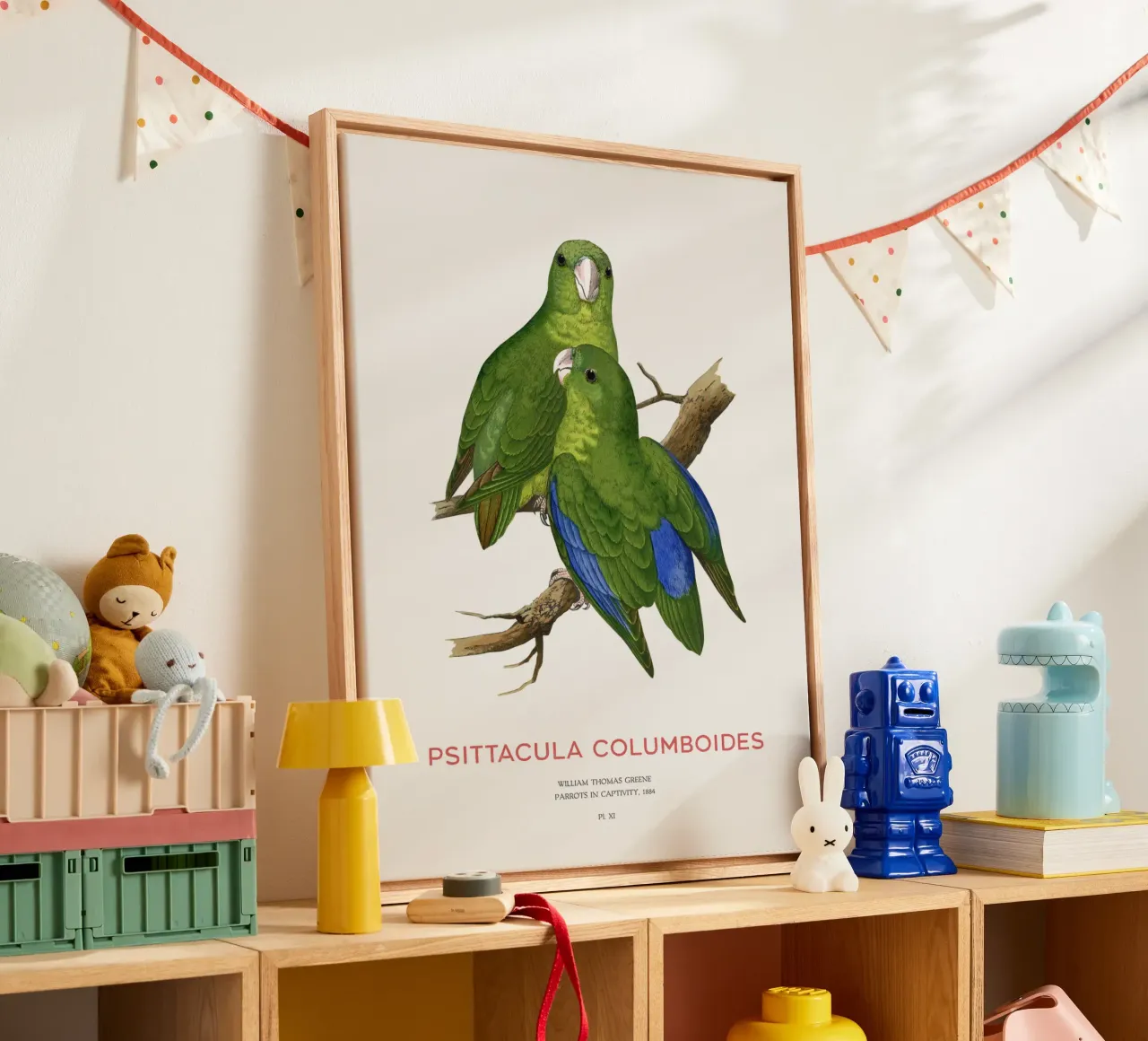 Malabarsittich oder Psittacula columboides Leinwand von Vintagrafica