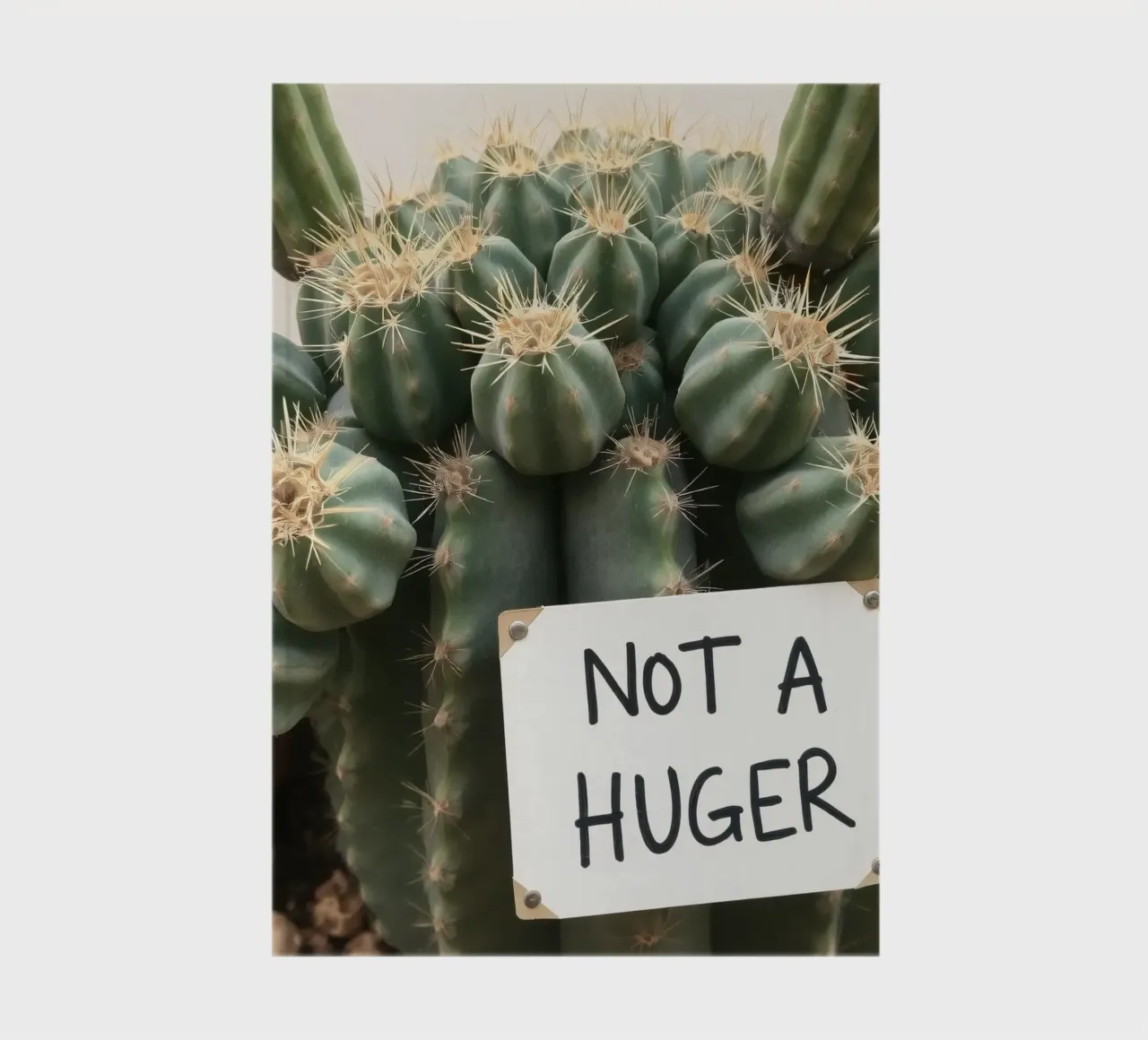 A playful cactus with a humorous sign stands notebook by DesignDoodle