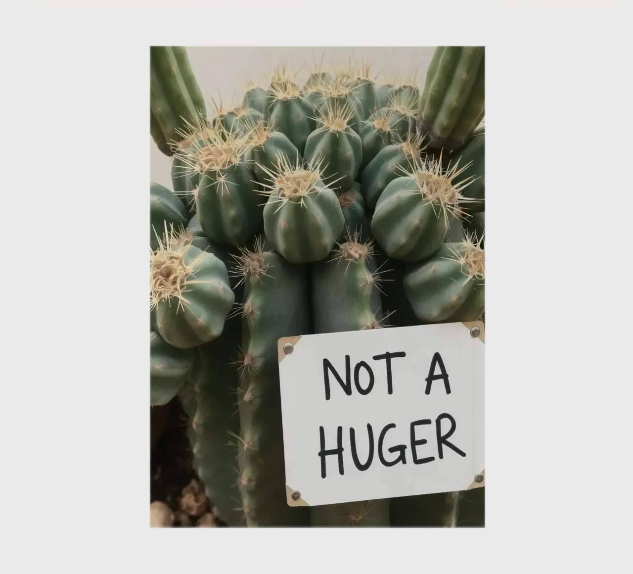 A playful cactus with a humorous sign stands notebook by DesignDoodle
