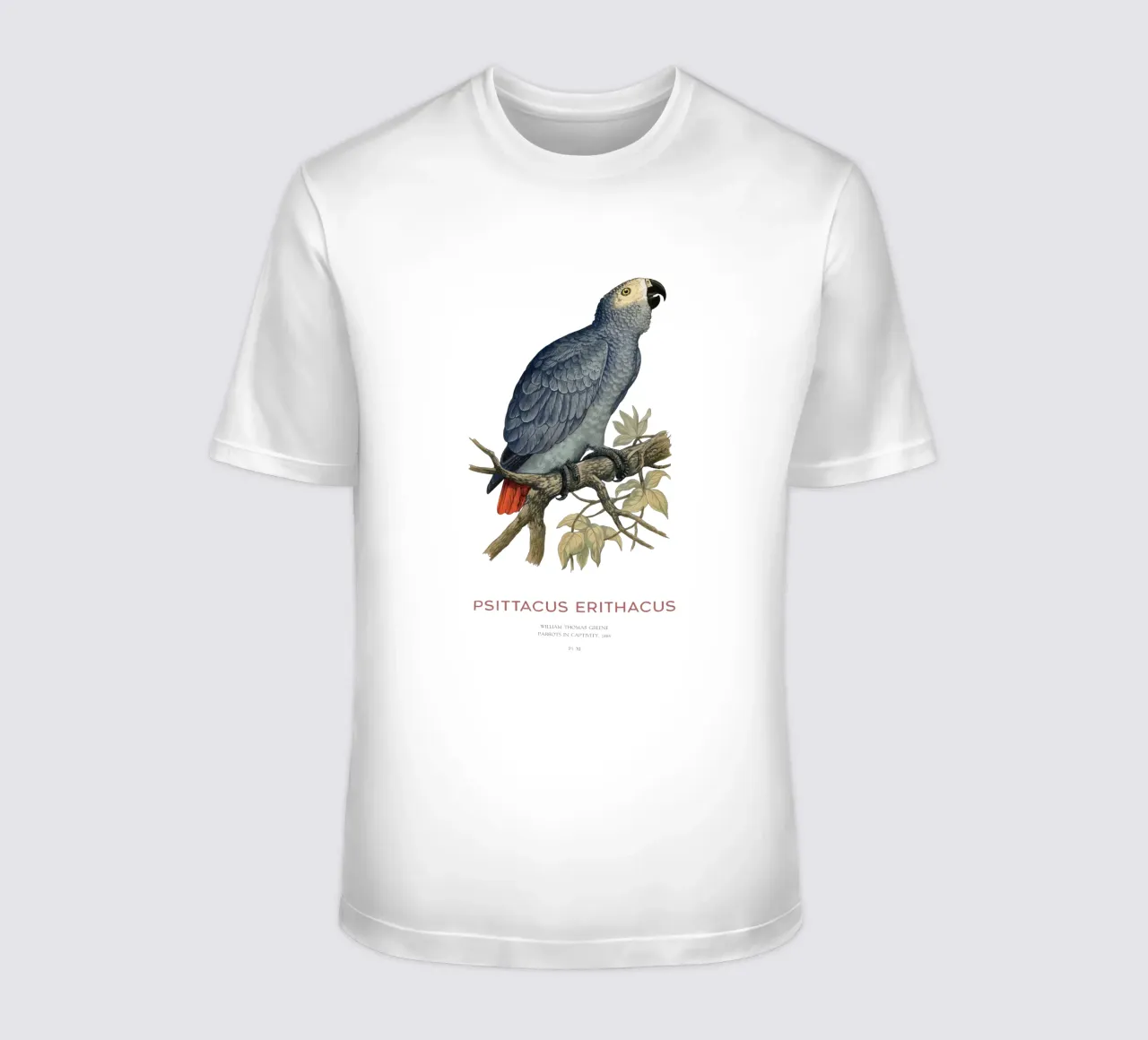 Pappagallo grigio o Psittacus erithacus t-shirt da Vintagrafica