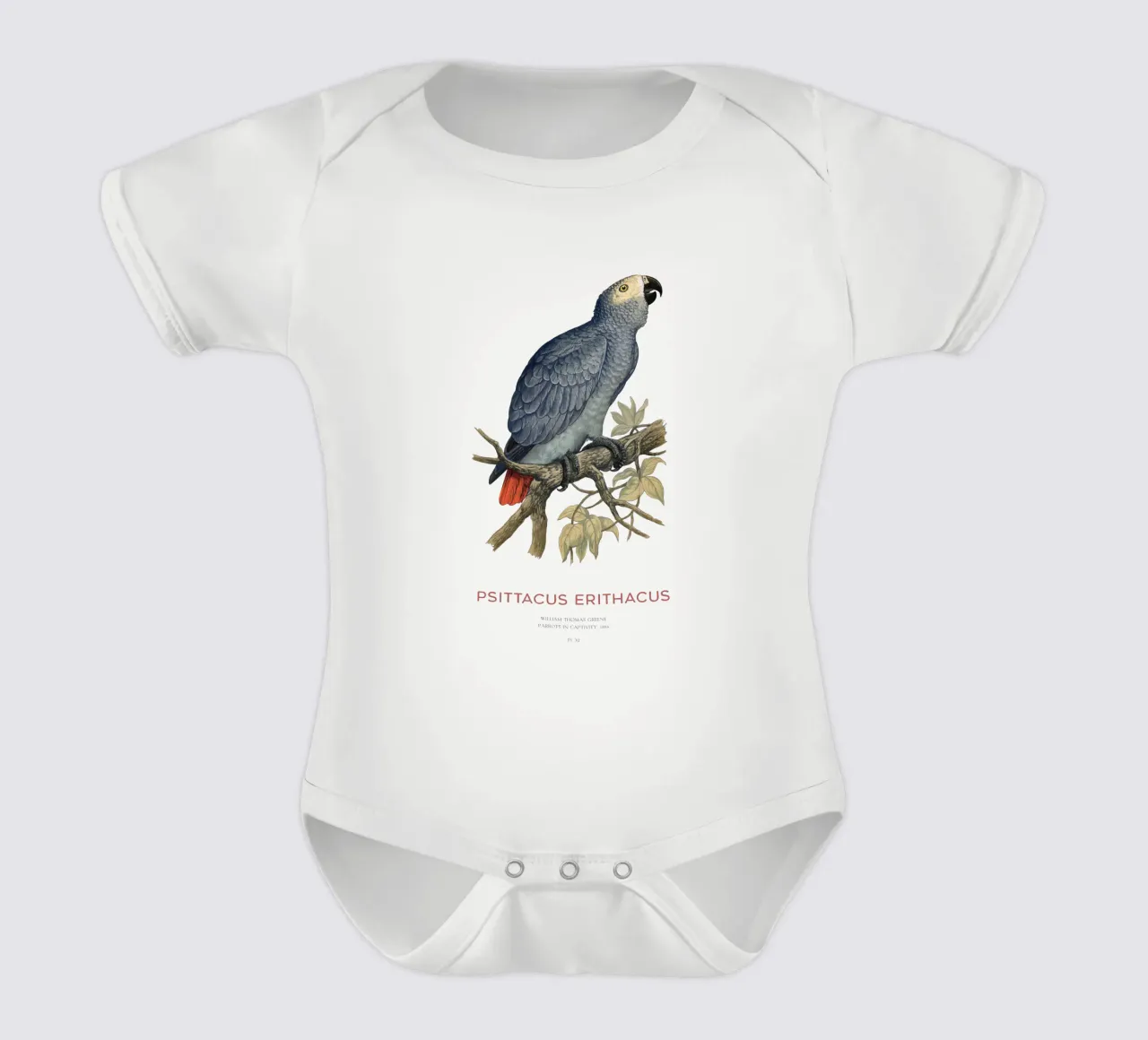Graupapagei oder Psittacus erithacus Kurzarm Babybody von Vintagrafica