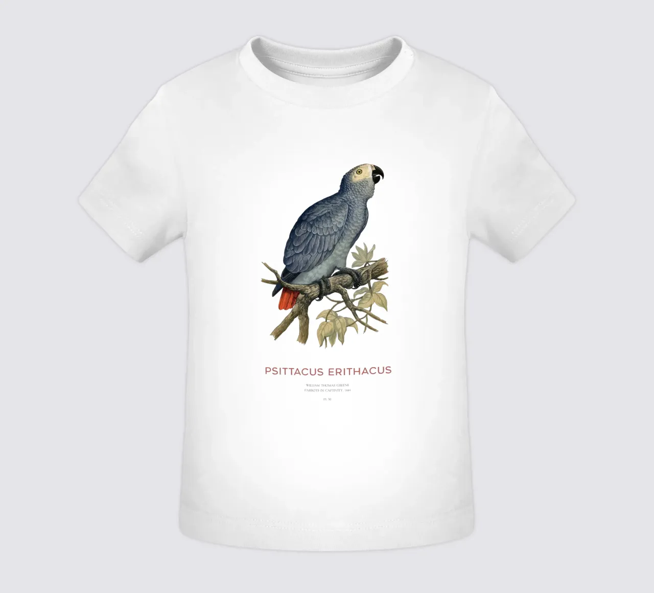 Pappagallo grigio o Psittacus erithacus maglietta neonato da Vintagrafica