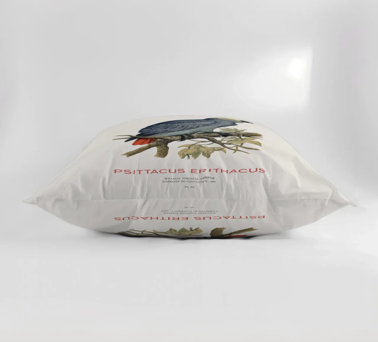 Pappagallo grigio o Psittacus erithacus cuscino da Vintagrafica
