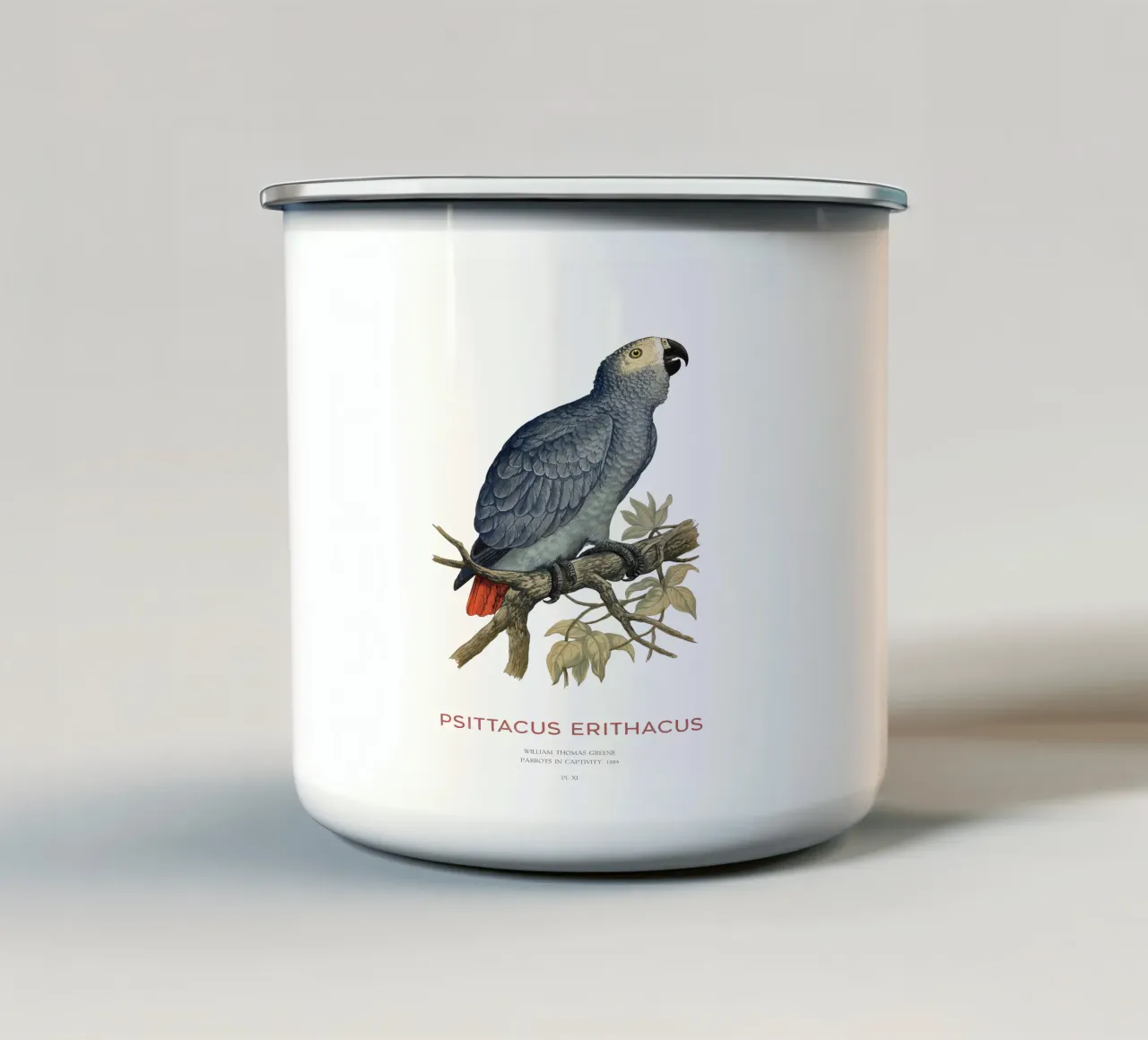 Pappagallo grigio o Psittacus erithacus tazza in smalto da Vintagrafica