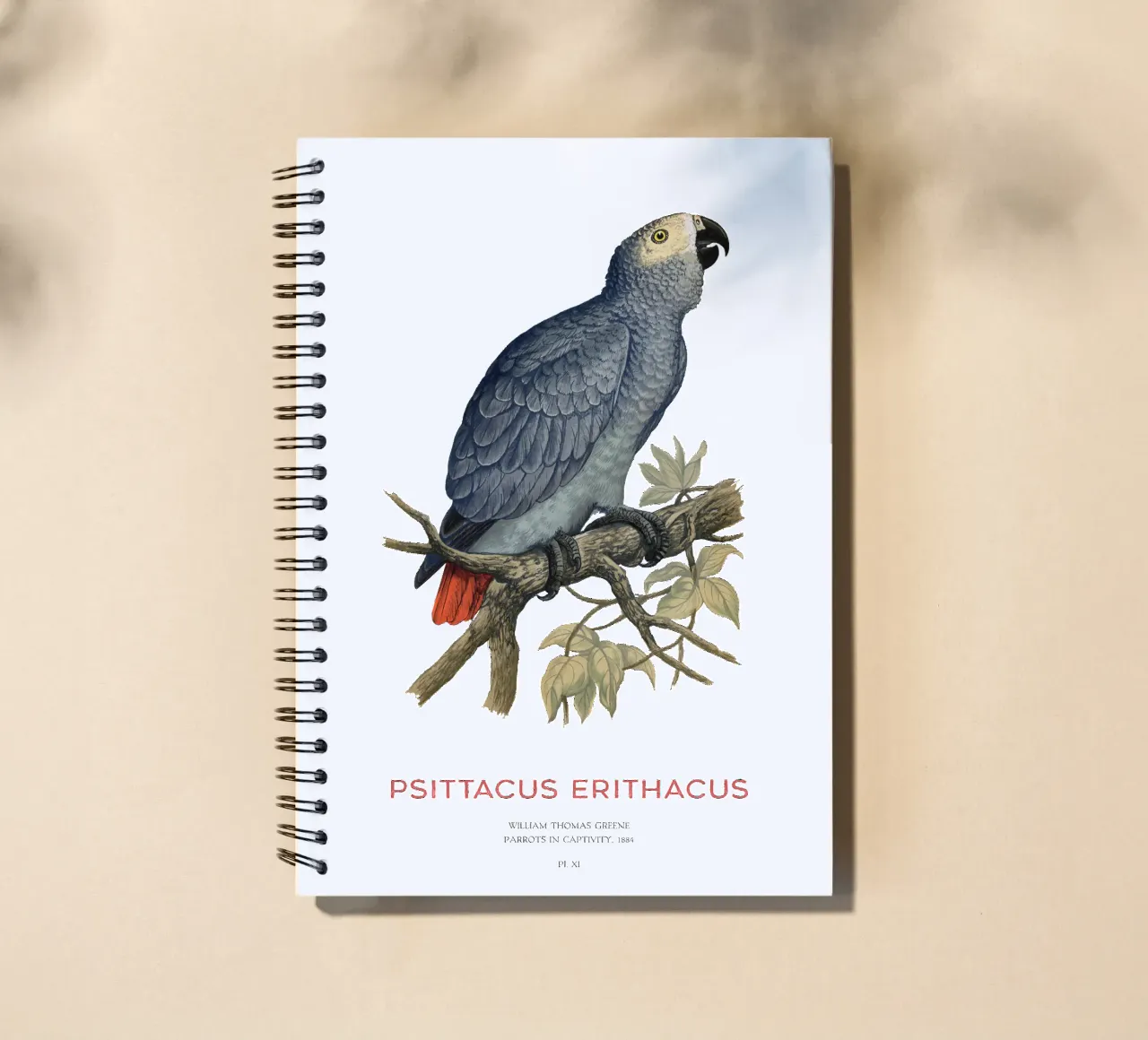 Grey parrot or Psittacus erithacus spiral notebook by Vintagrafica