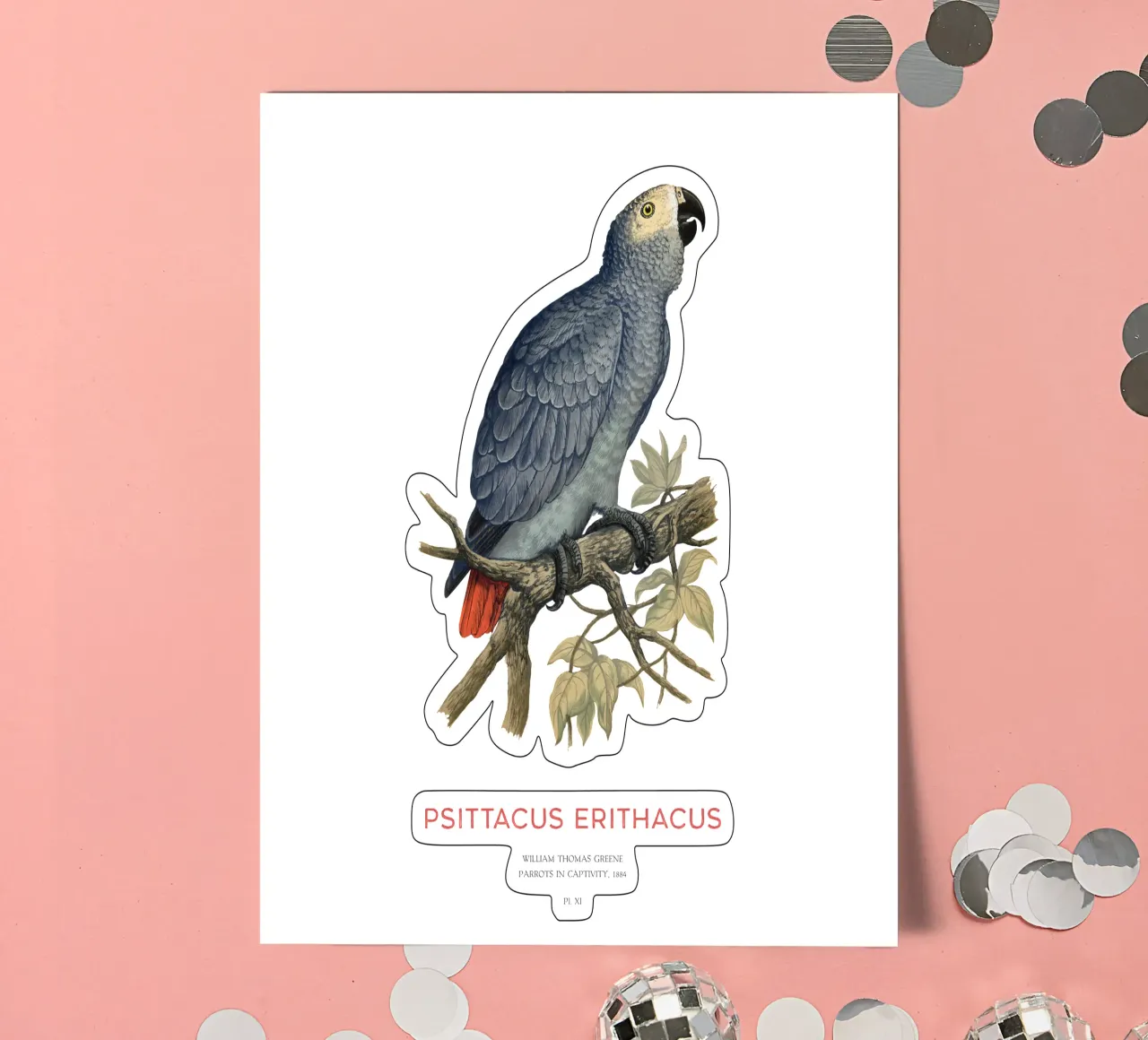 Graupapagei oder Psittacus erithacus Stickerbogen von Vintagrafica
