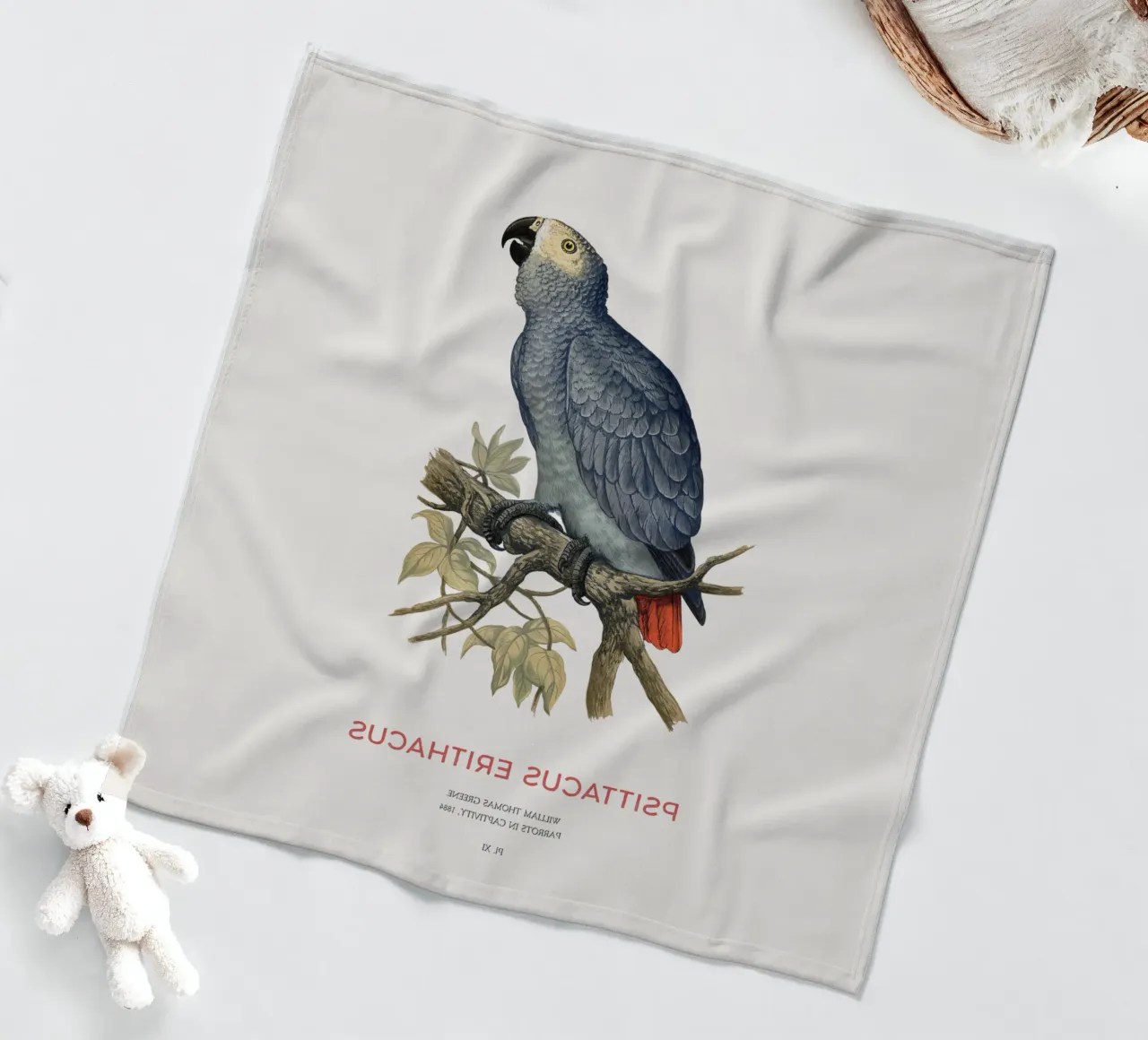 Pappagallo grigio o Psittacus erithacus coperta in pile da Vintagrafica