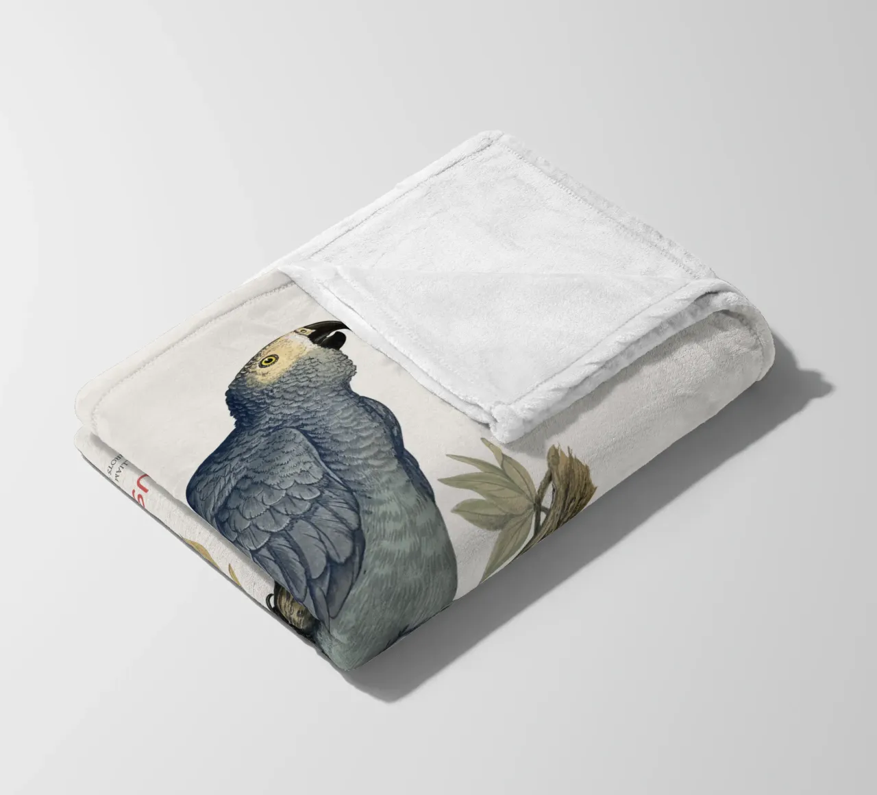 Pappagallo grigio o Psittacus erithacus coperta in pile da Vintagrafica