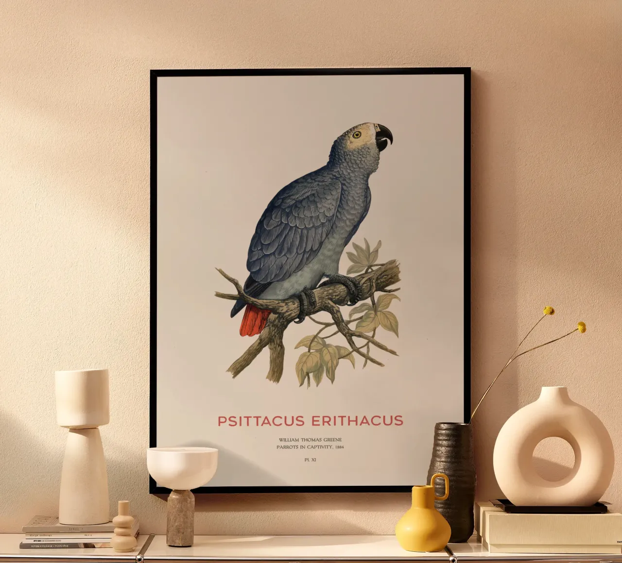 Graupapagei oder Psittacus erithacus Hahnemühle von Vintagrafica