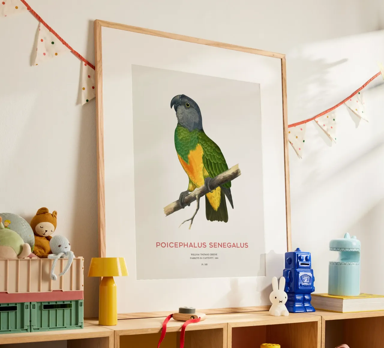 Poicephalus senegalus oder Senegalpapagei Hahnemühle von Vintagrafica