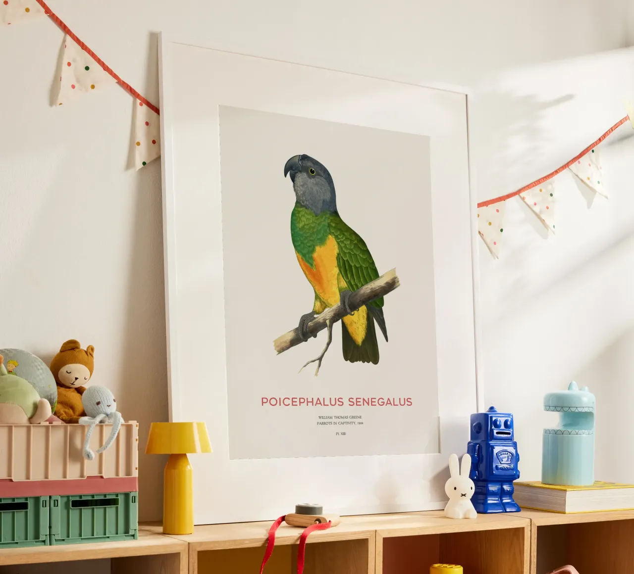 Poicephalus senegalus oder Senegalpapagei Hahnemühle von Vintagrafica