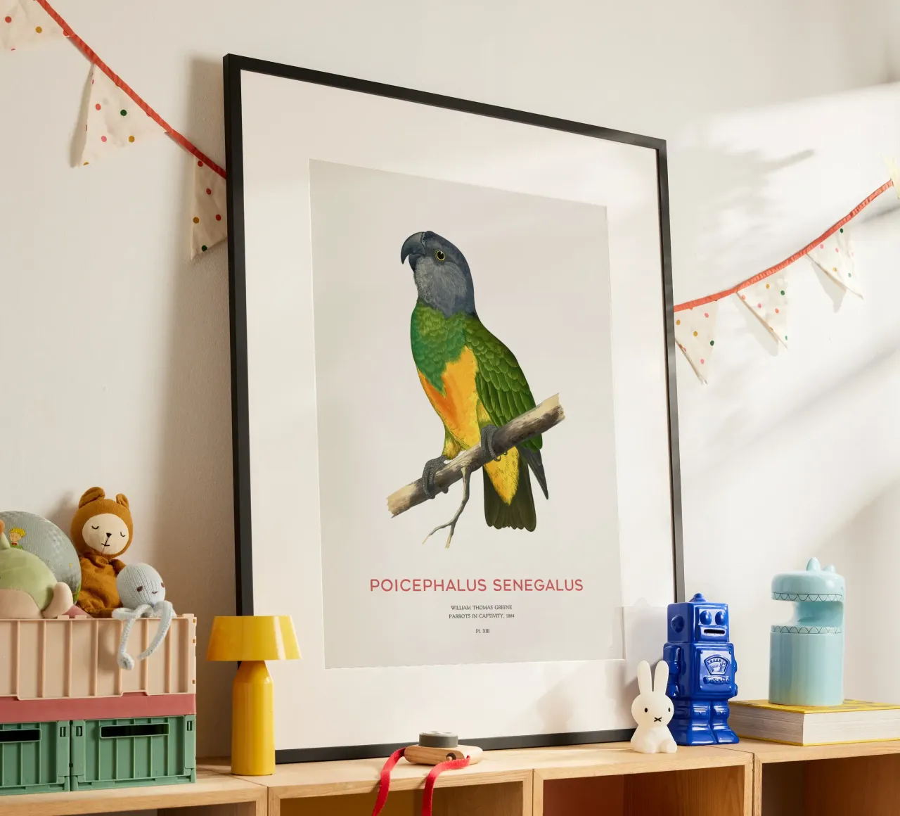 Poicephalus senegalus oder Senegalpapagei Hahnemühle von Vintagrafica