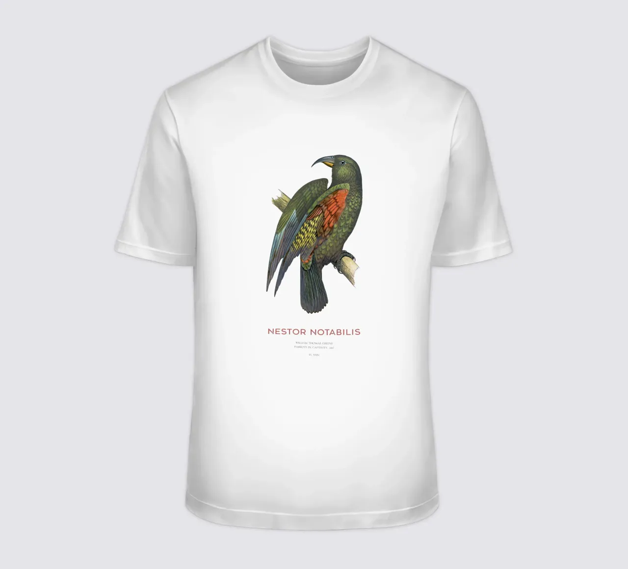 Kea o Nestor notabilis t-shirt da Vintagrafica