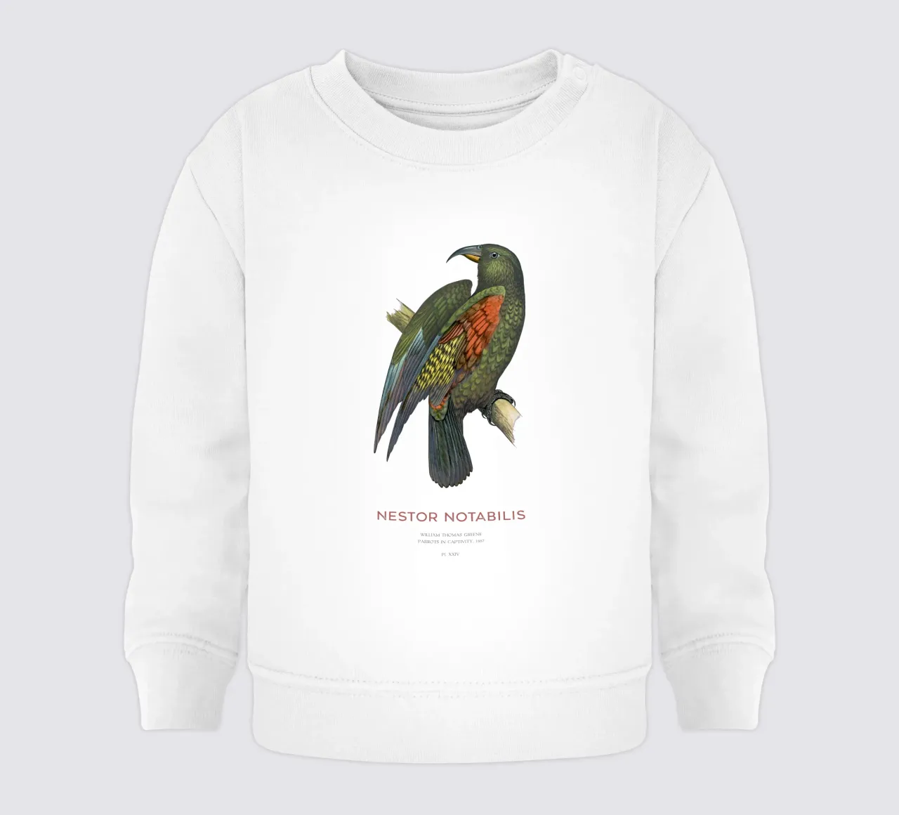 Kea o Nestor notabilis felpa neonato da Vintagrafica