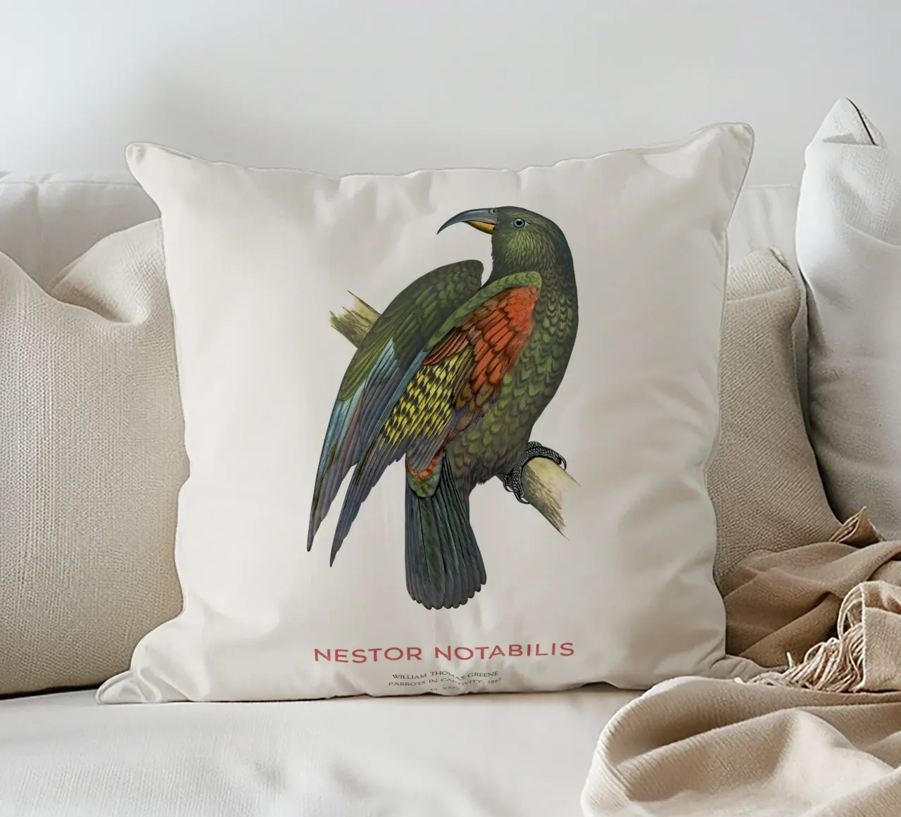 Kea oder Nestor notabilis Kissen von Vintagrafica