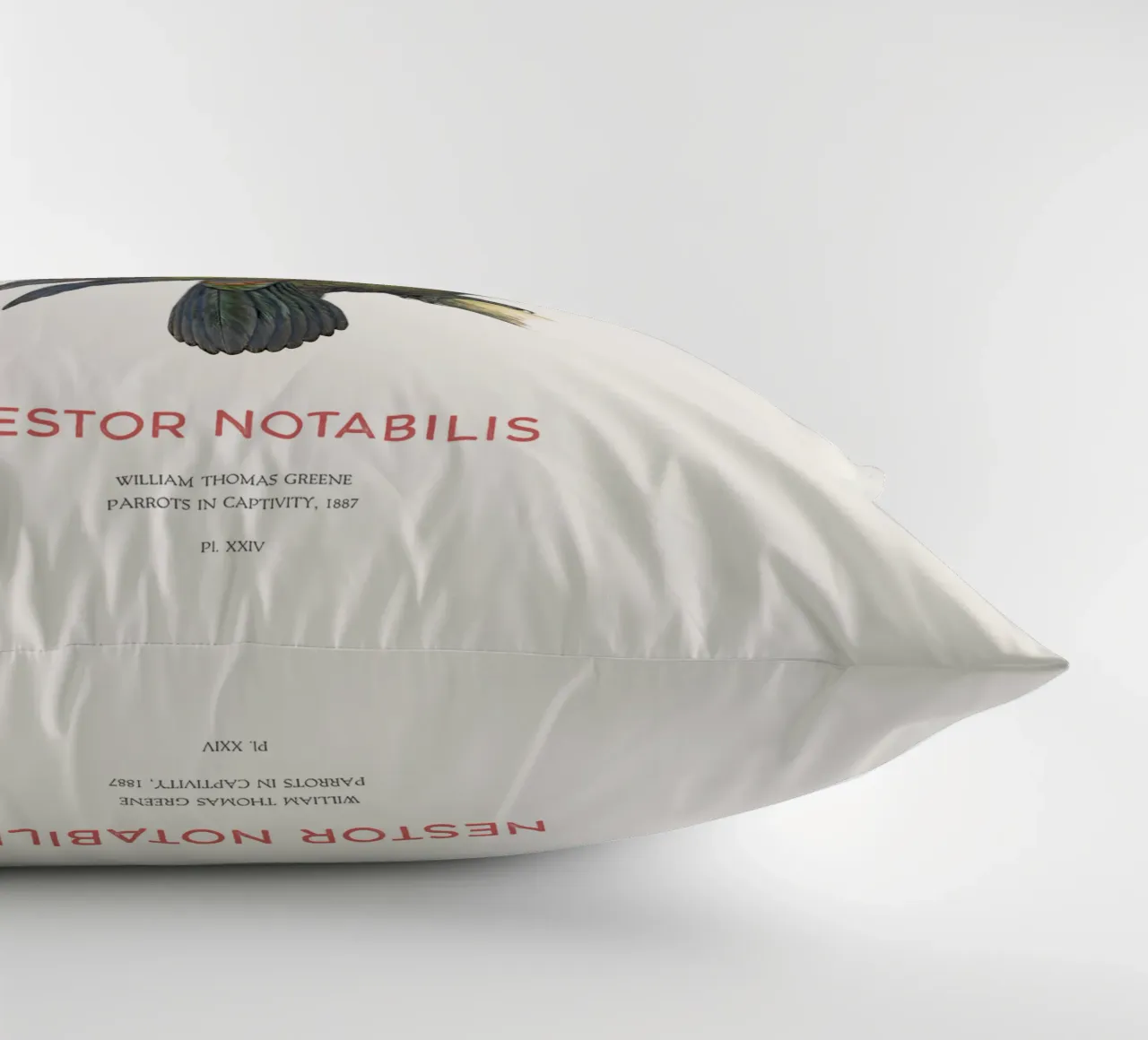 Kea oder Nestor notabilis Kissen von Vintagrafica